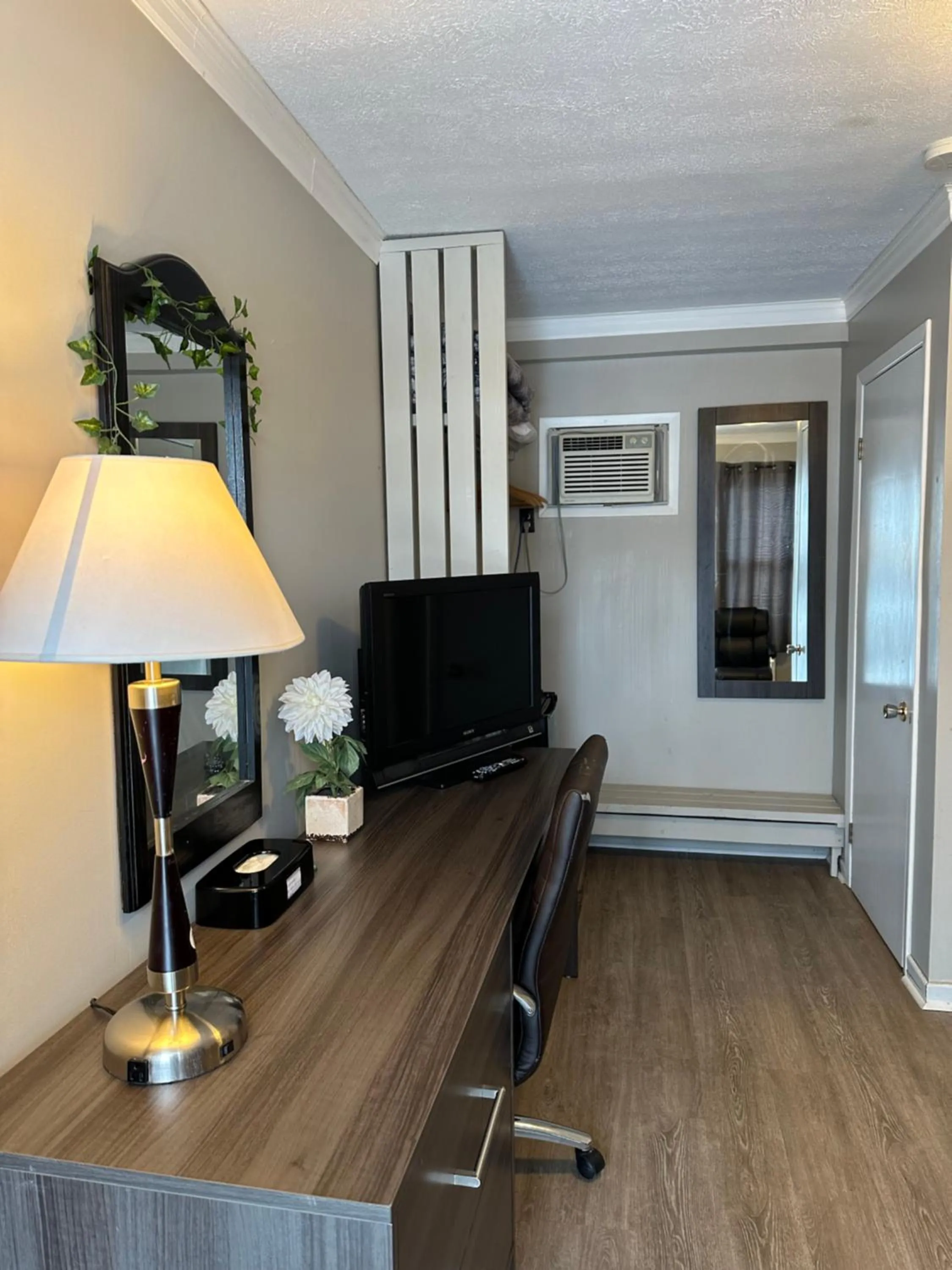 TV and multimedia in Lakeview Motel & Cottage