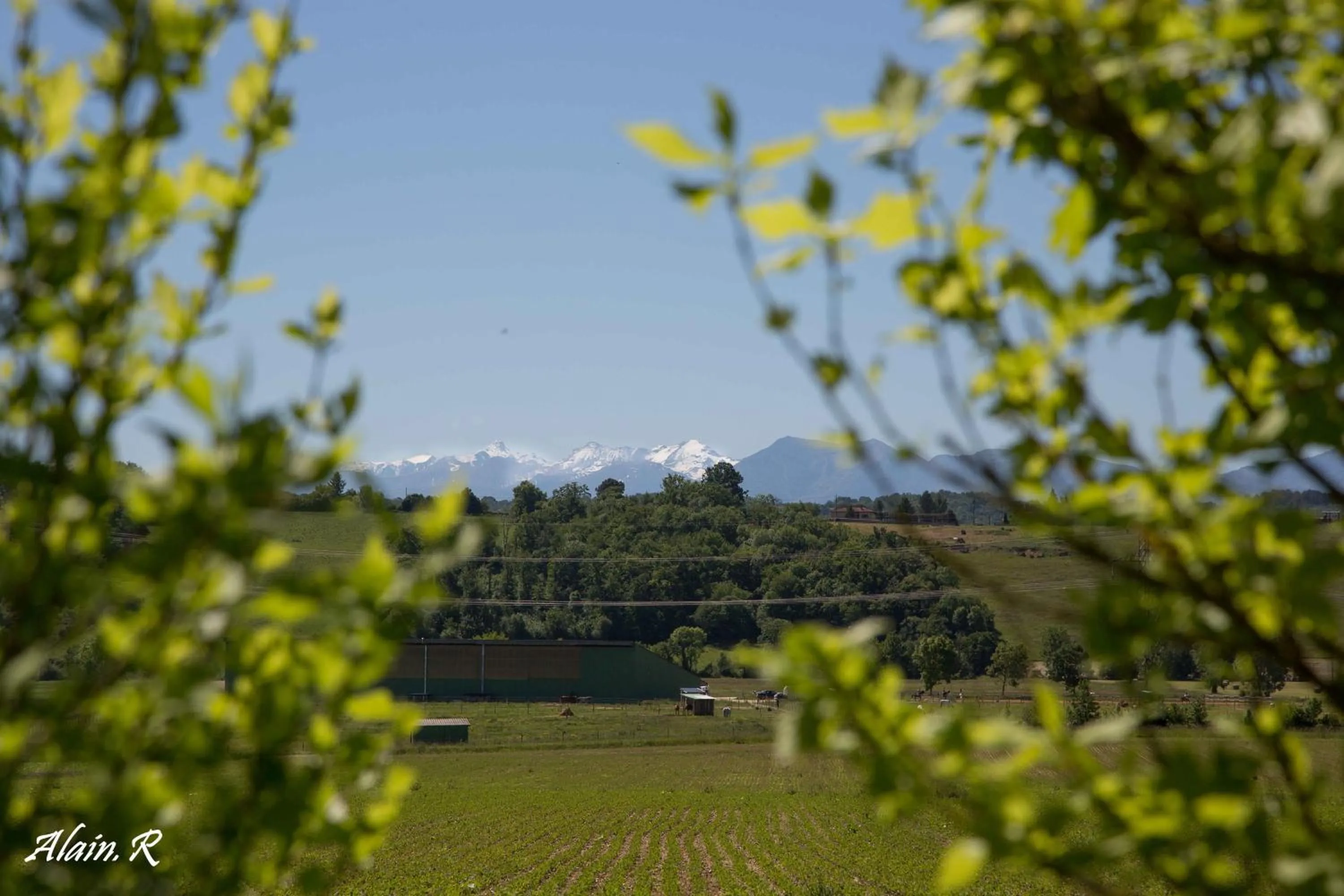 Horse-riding in PARADISE CHALLETS AND CAMPING
