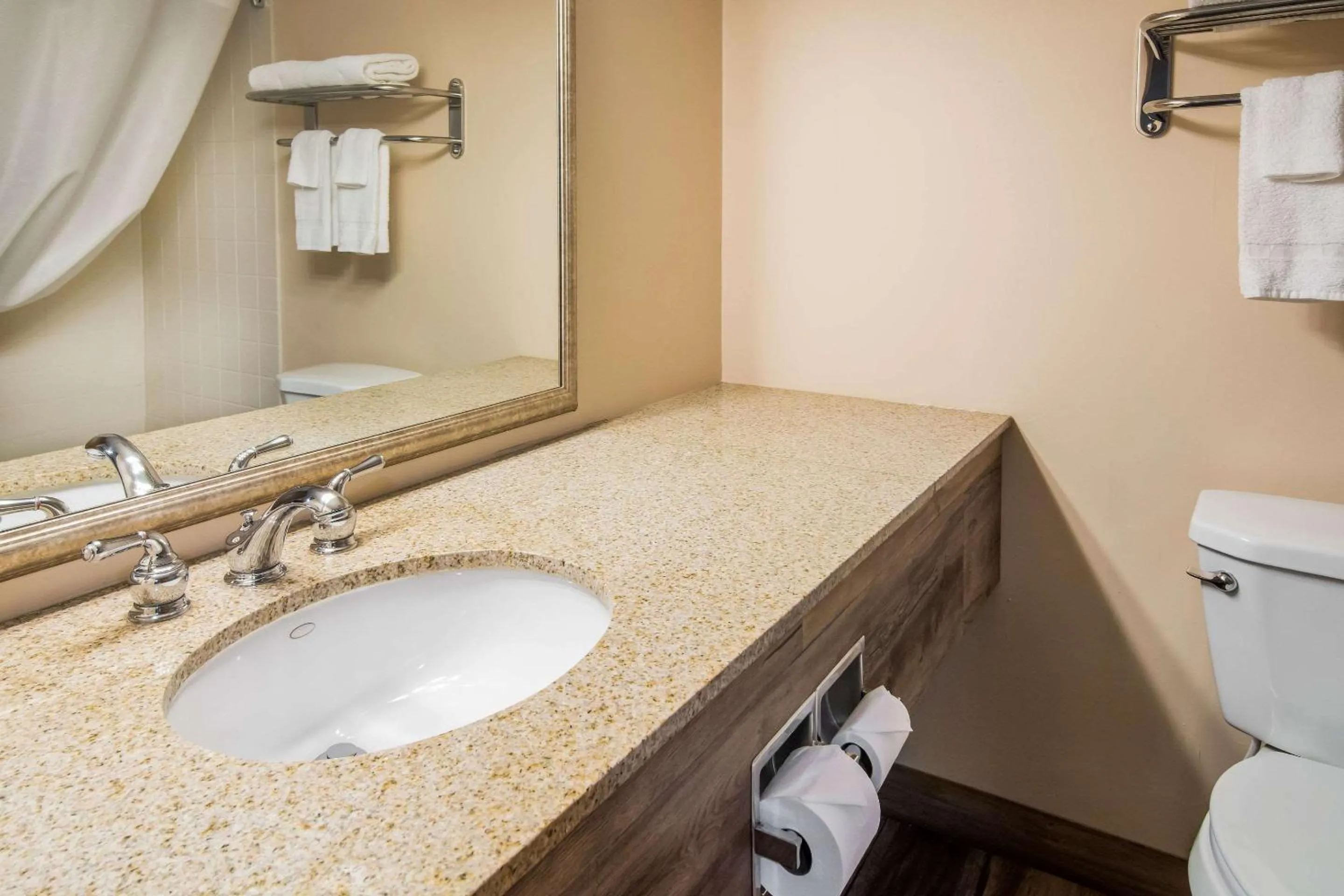 Bathroom in Quality Inn & Suites