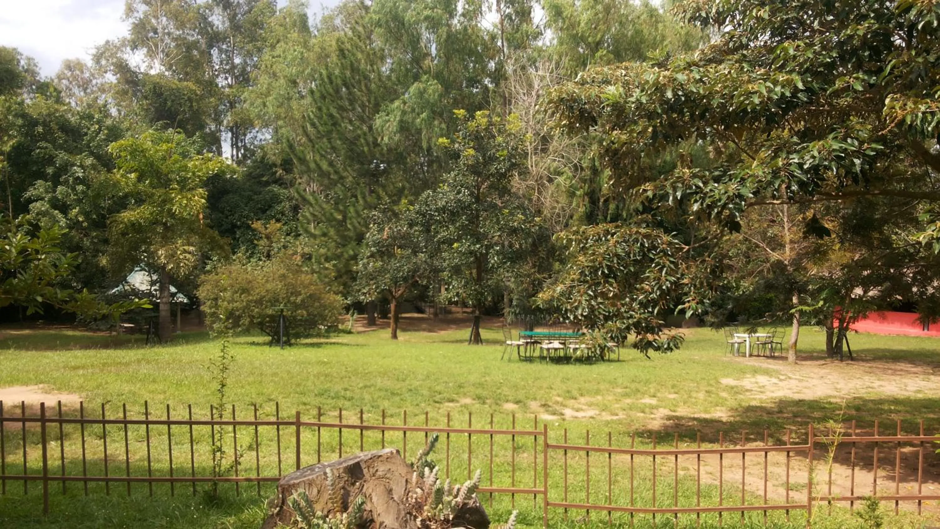 Garden in White Castle Hotel Arua