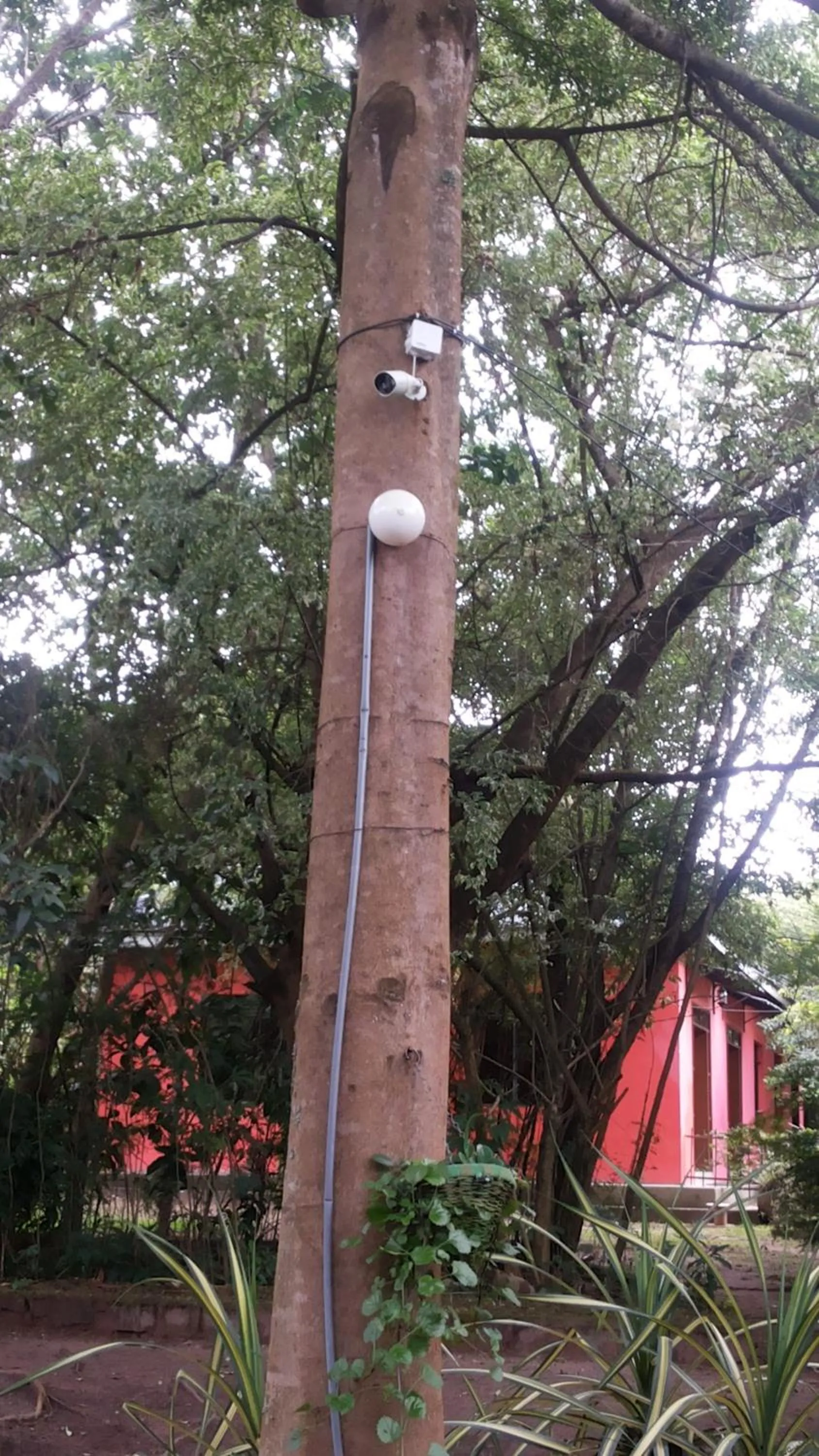 White Castle Hotel Arua