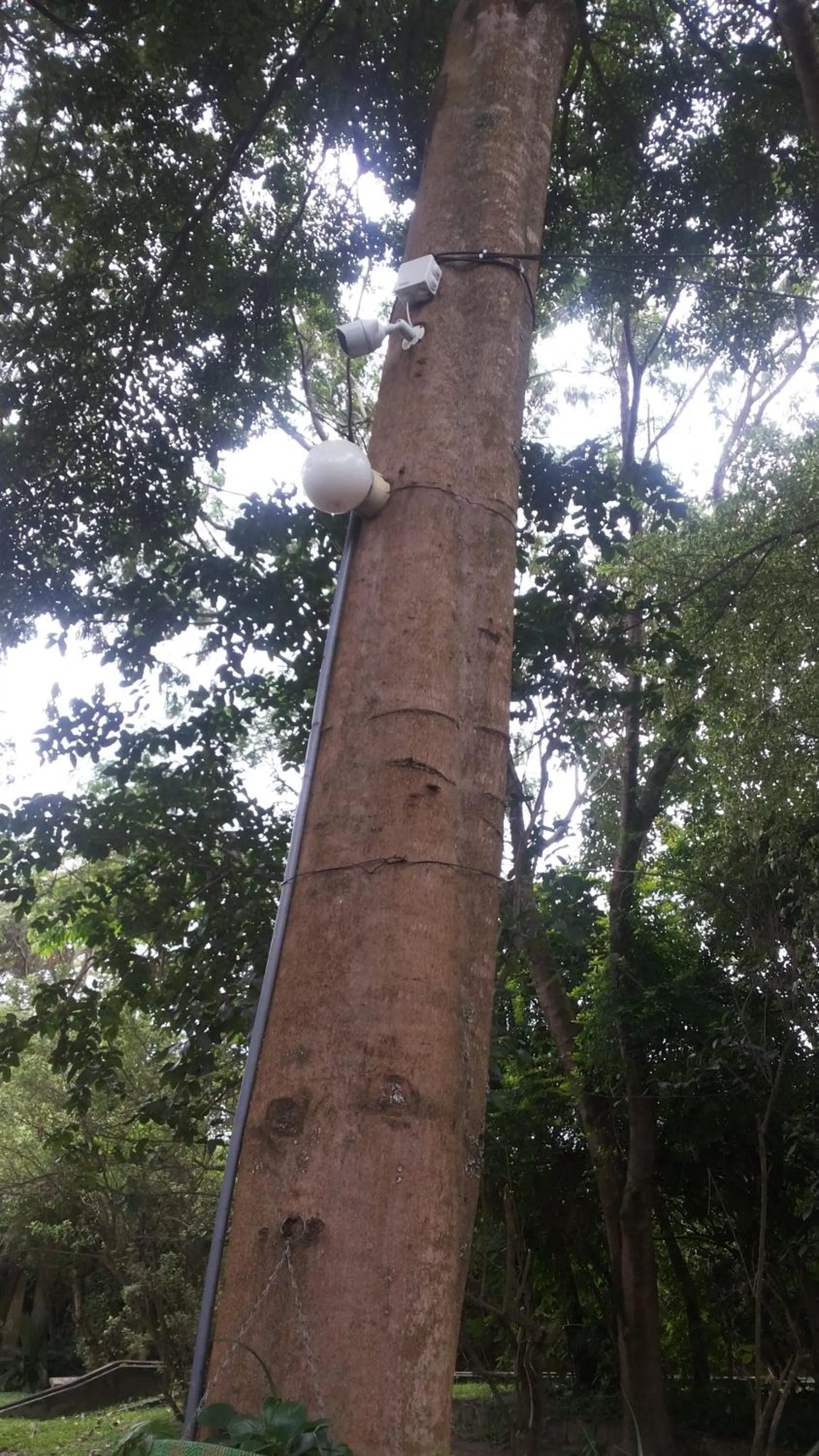 White Castle Hotel Arua