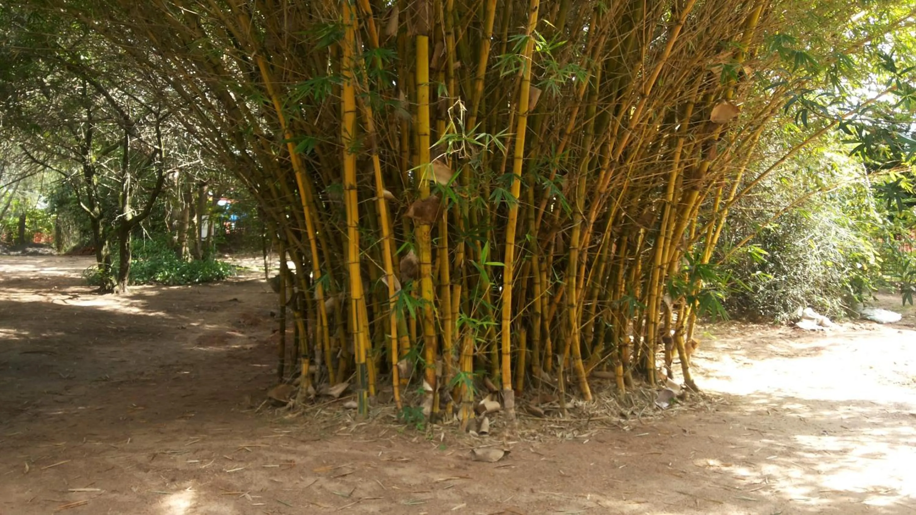 Garden in White Castle Hotel Arua