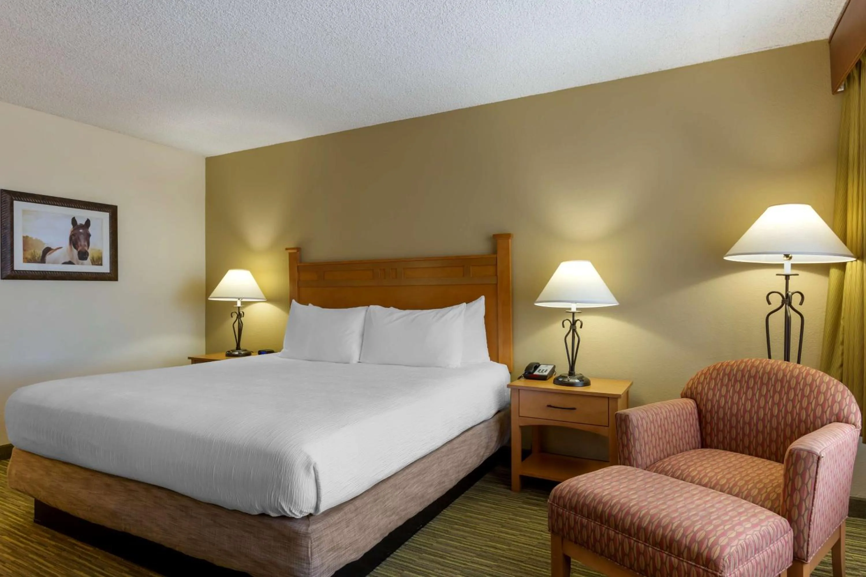 Bedroom, Bed in Best Western Paint Pony Lodge