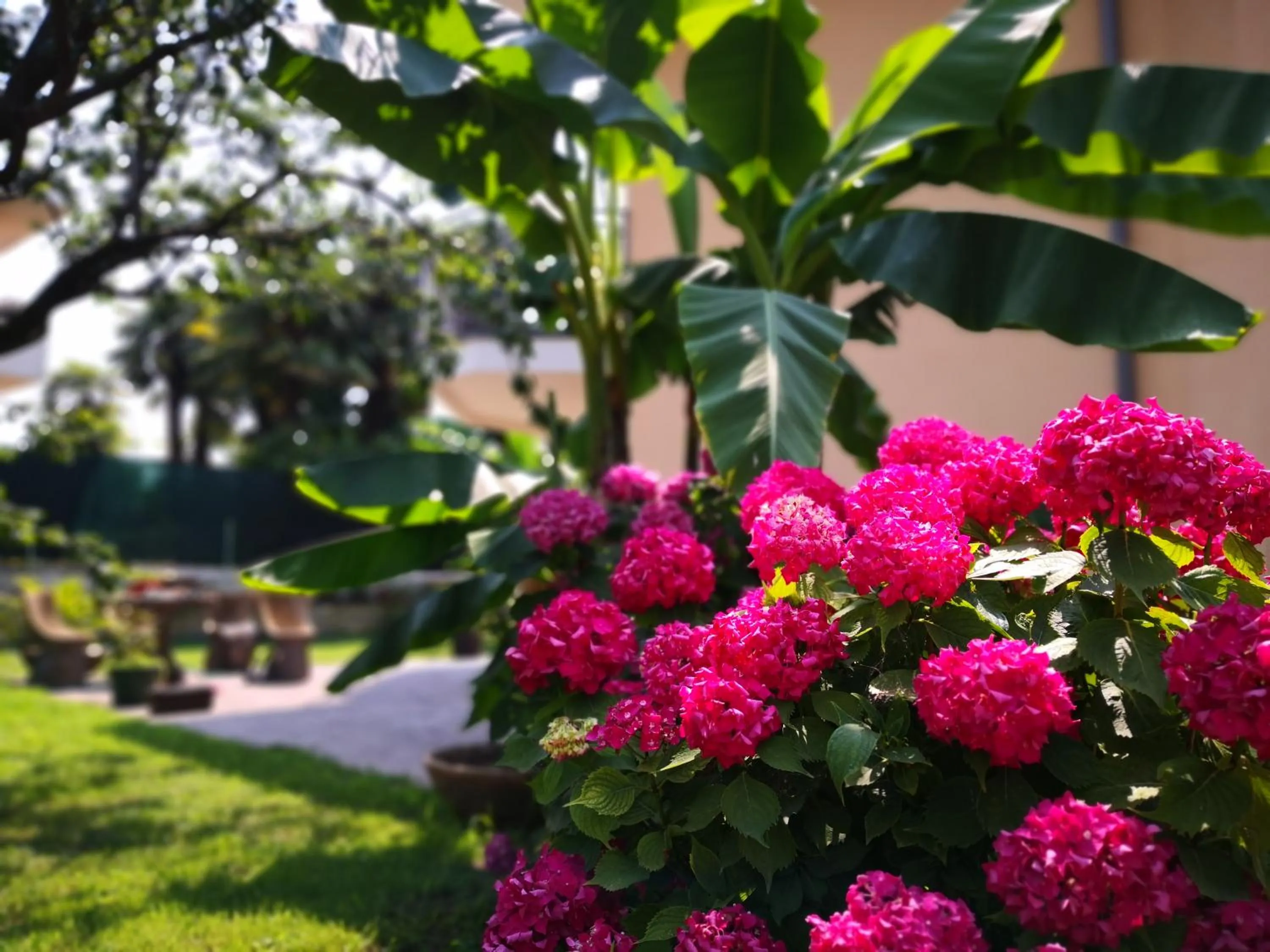 Garden in B&B Esmeralda