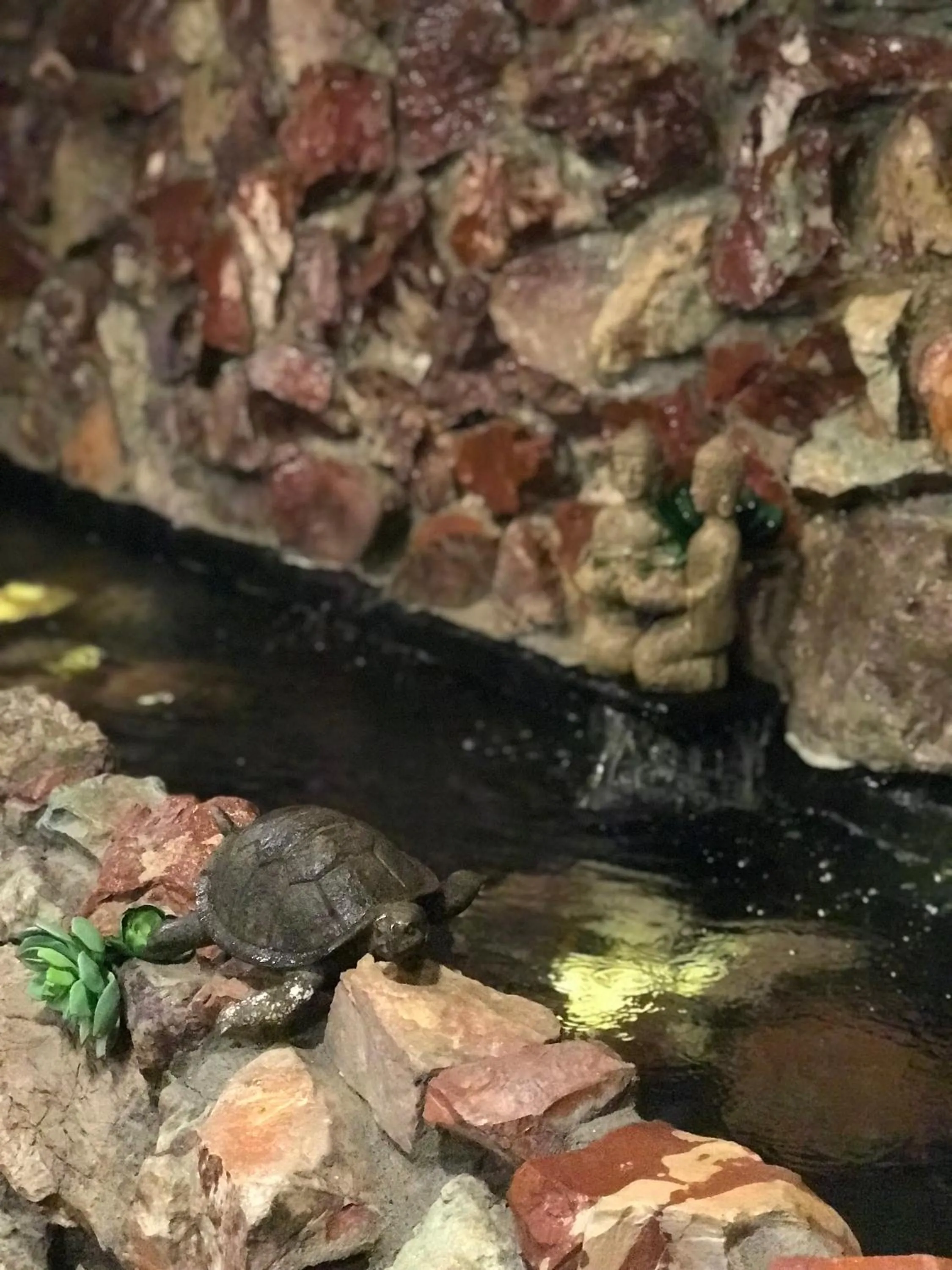 Decorative detail in Lewis & Clark Motel - Bozeman