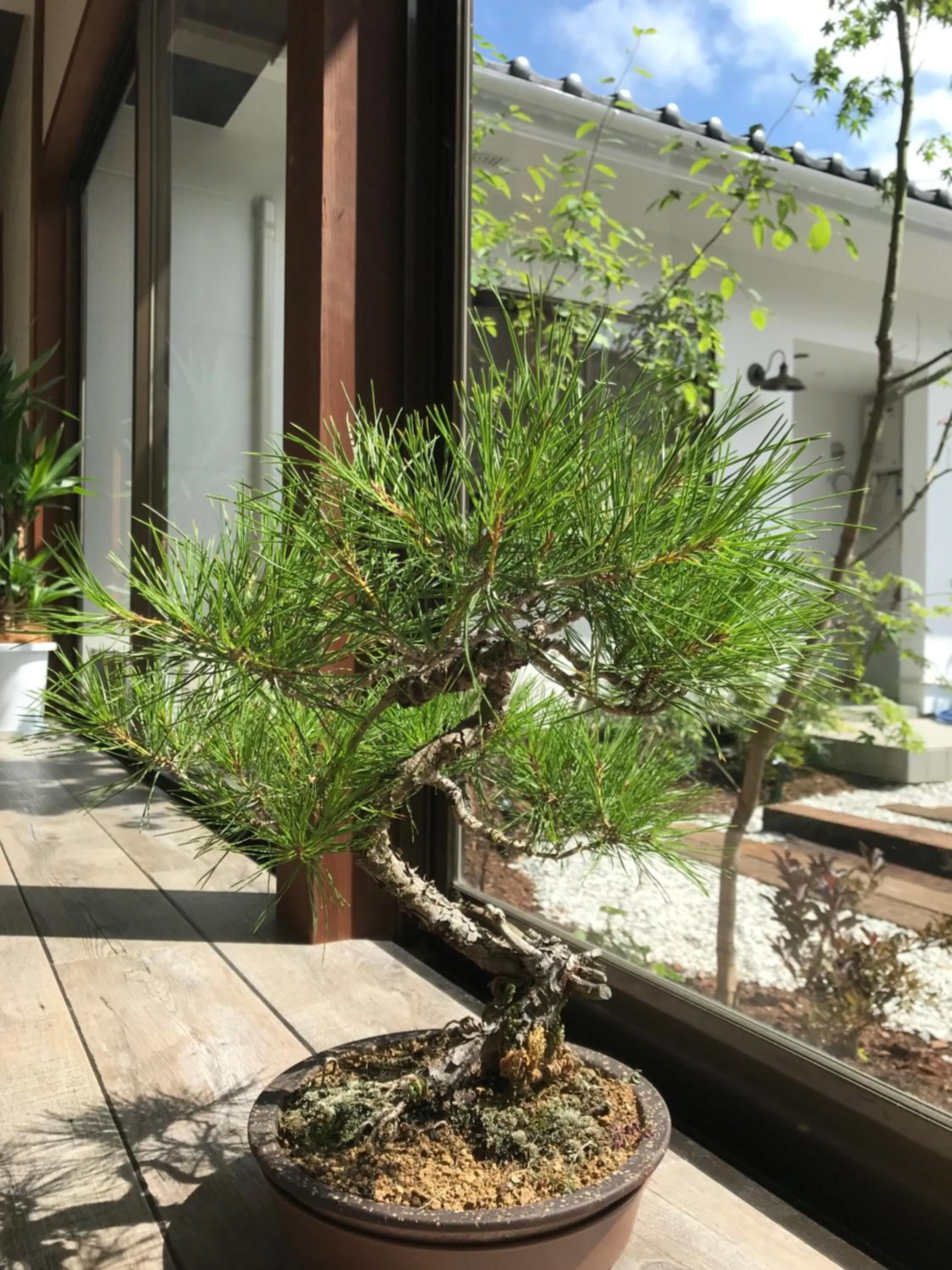 Garden in cafe&stay CASTANA