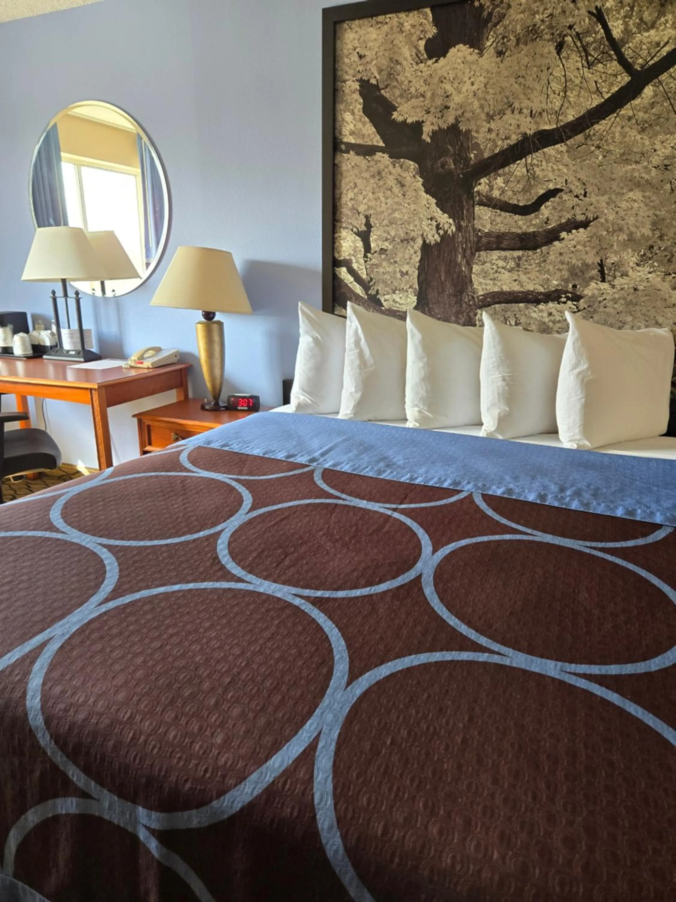 Bed in Super 8 by Wyndham Adrian