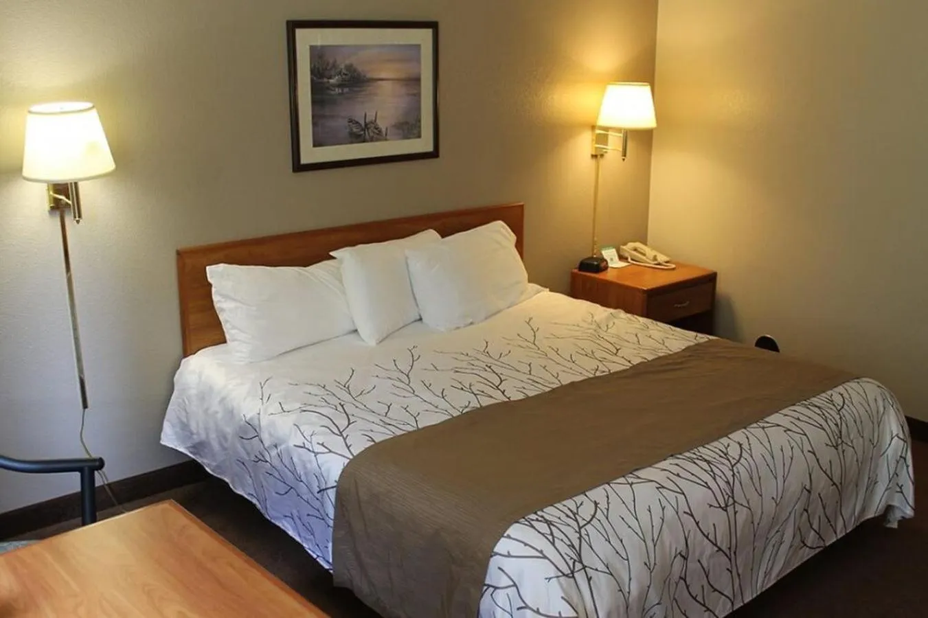 Bed in Edmore Inn