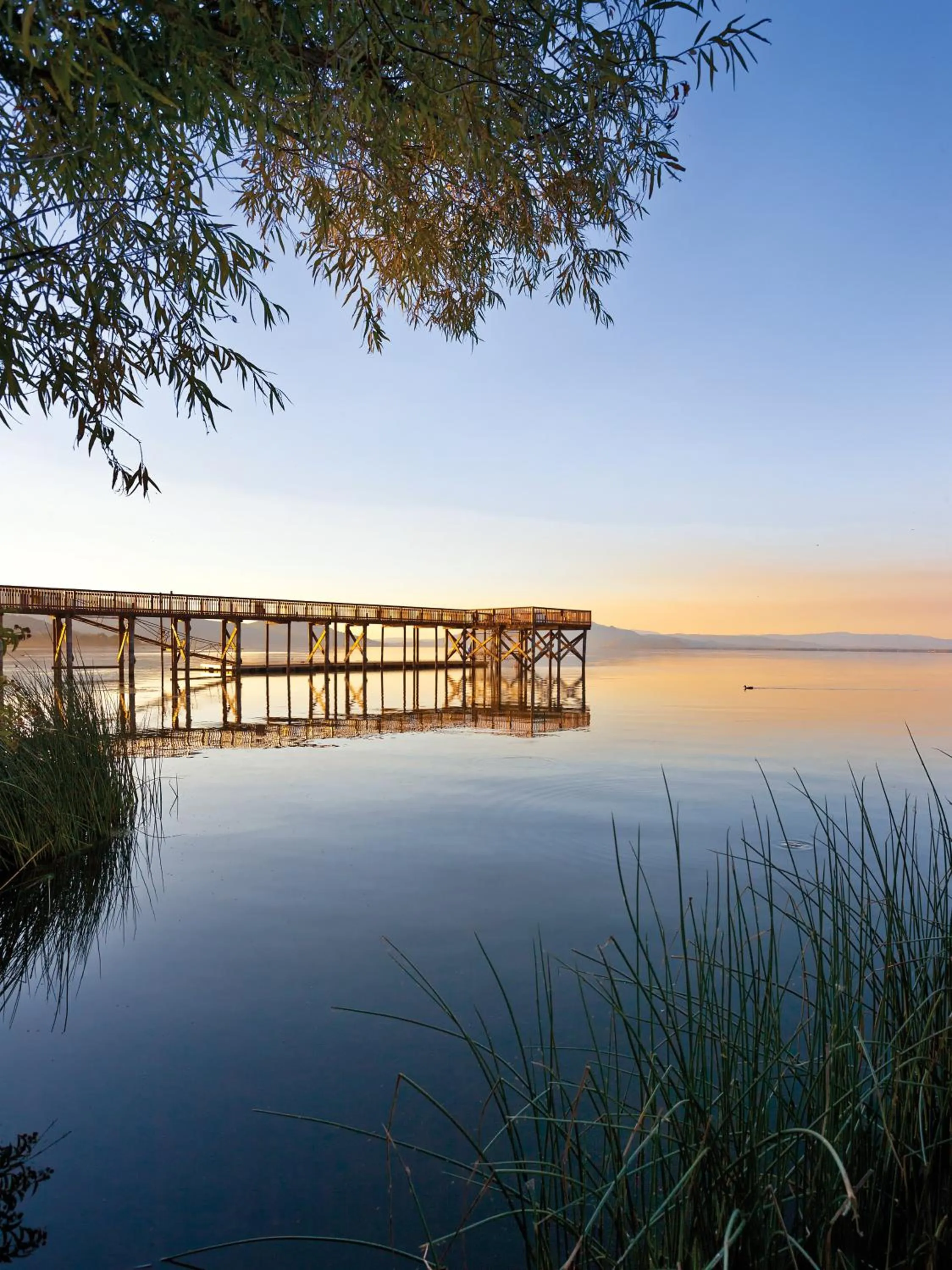 Lake view in WorldMark Clear Lake
