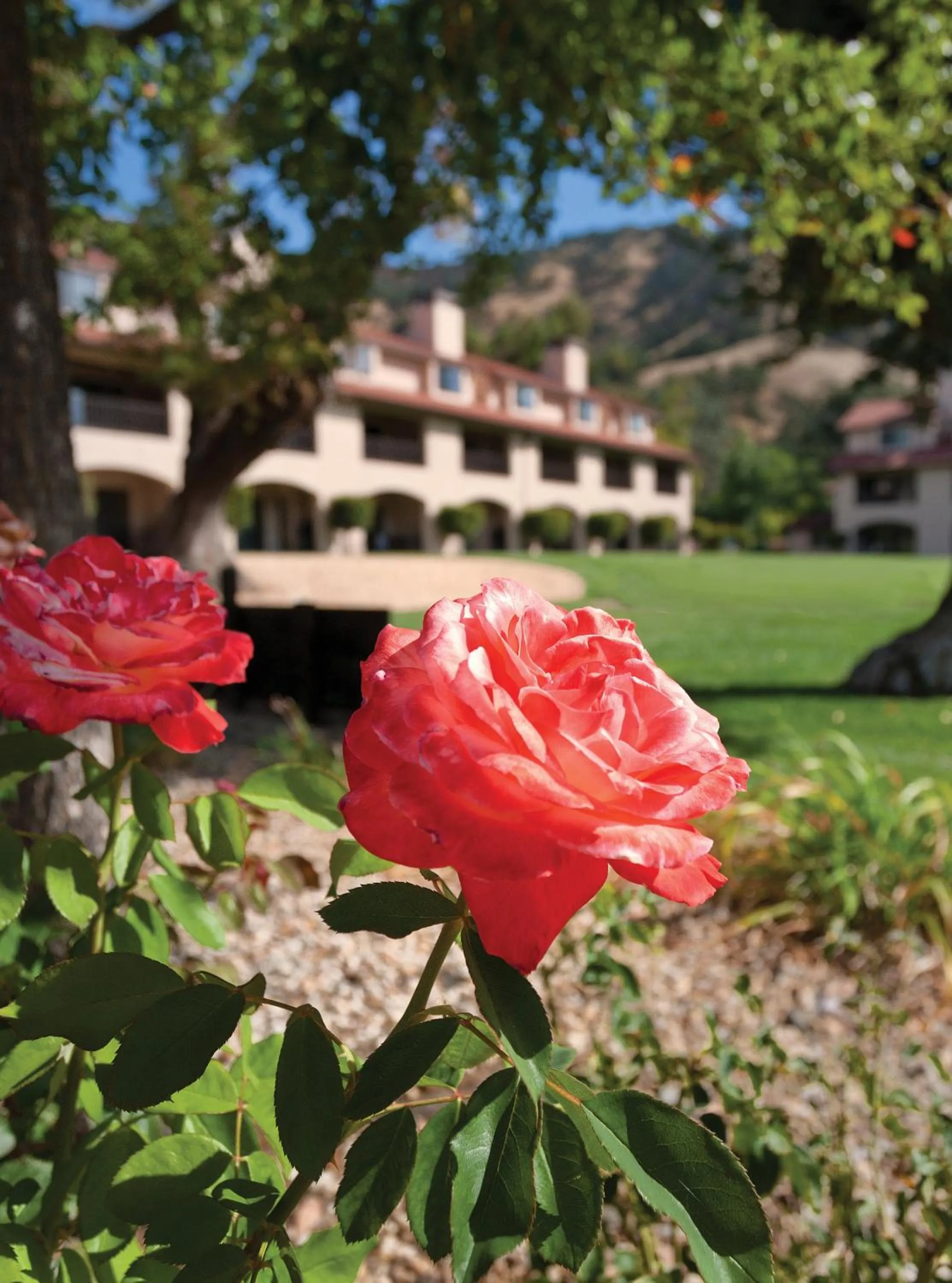 Garden in WorldMark Clear Lake