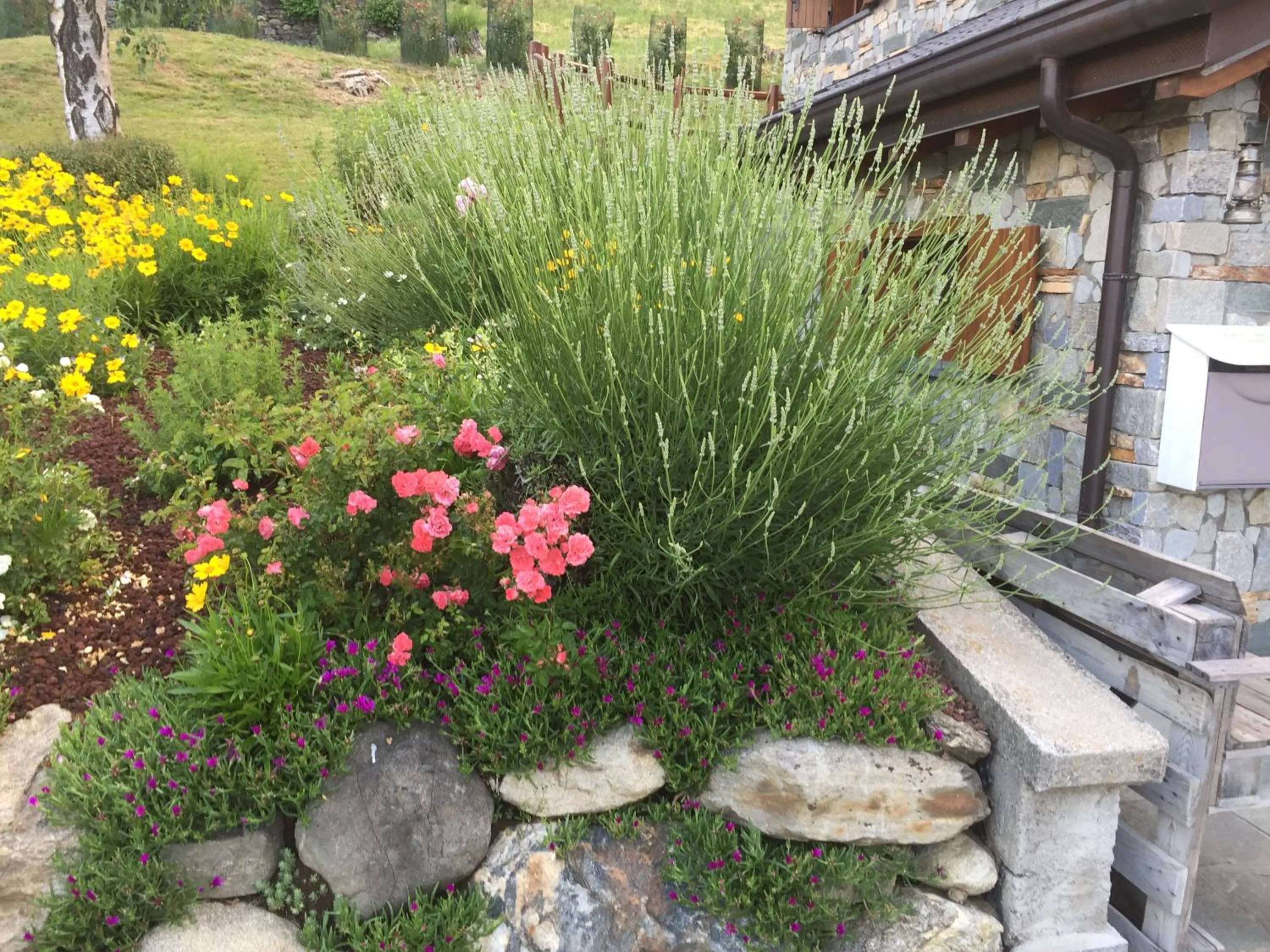 Garden in 2 CUORI E UN B&B