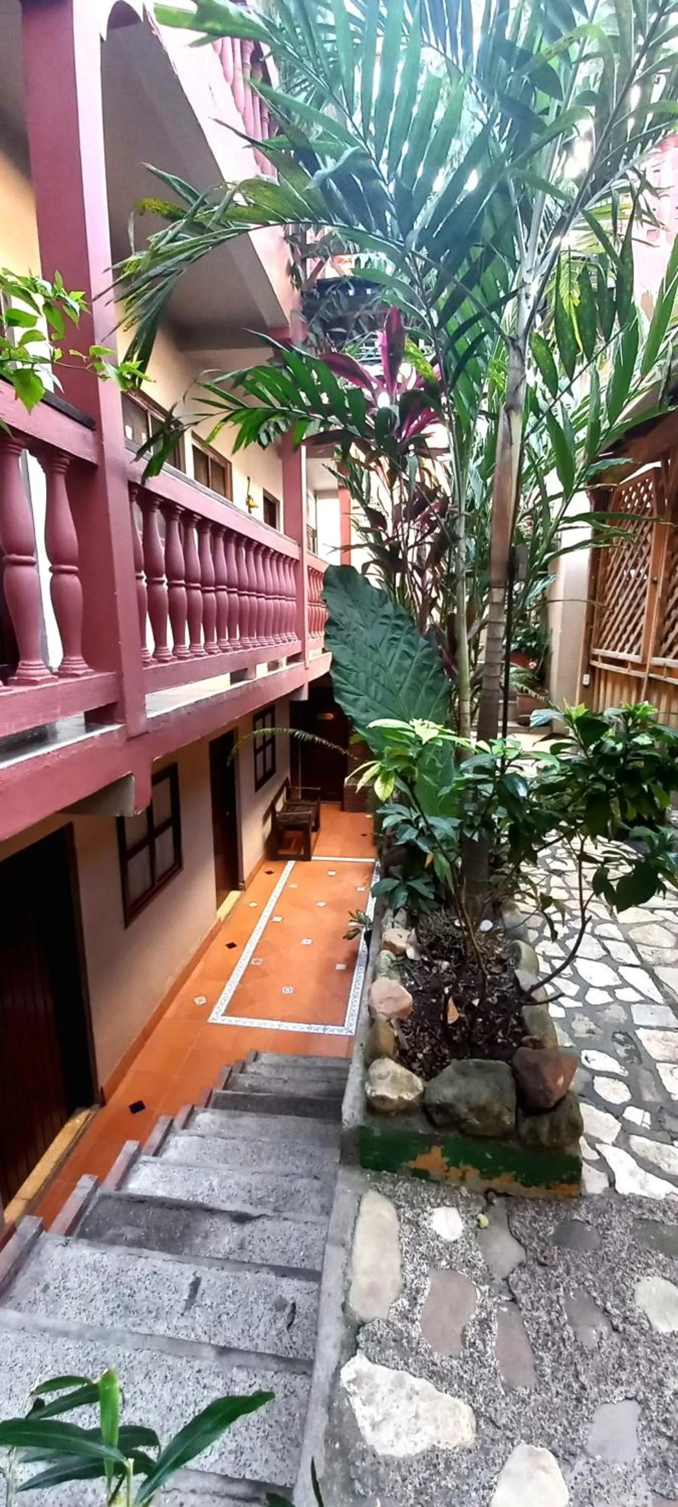 Garden view in Hotel Rosalila