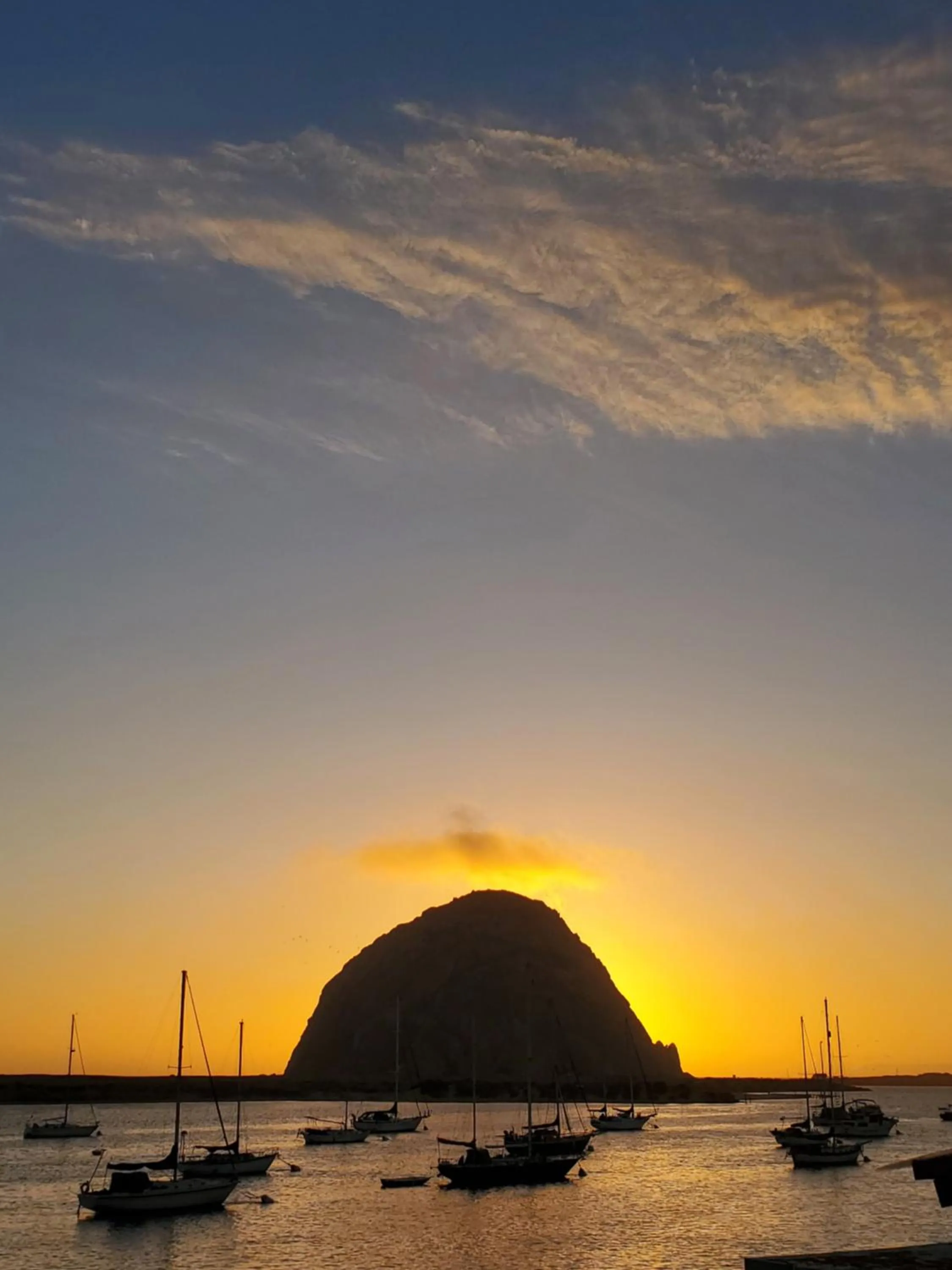 Summer in Gray's Inn & Gallery