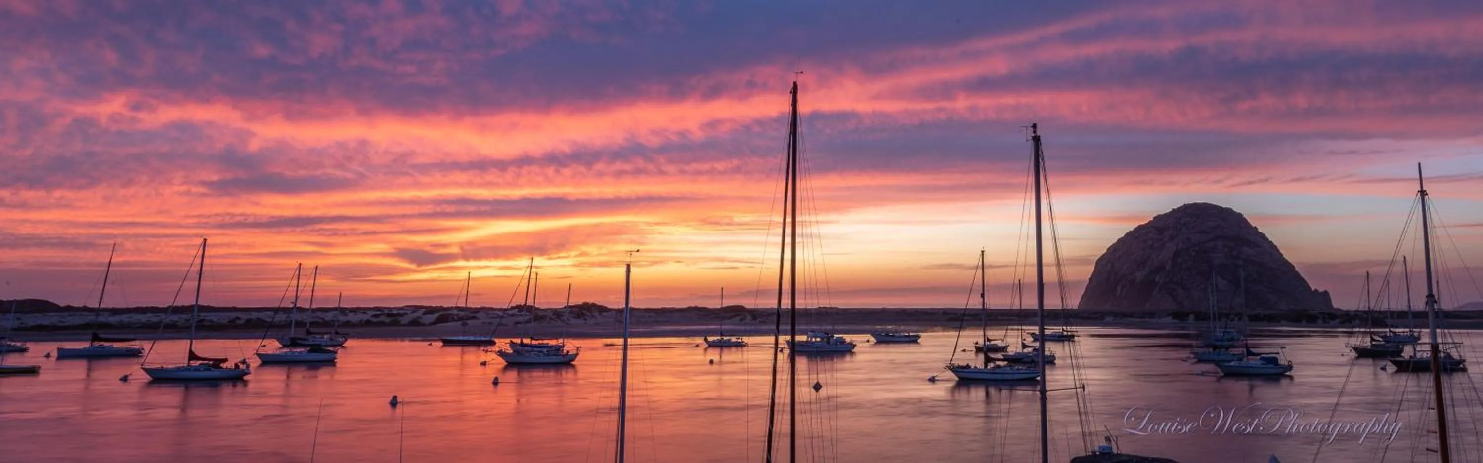 Natural landscape in Gray's Inn & Gallery