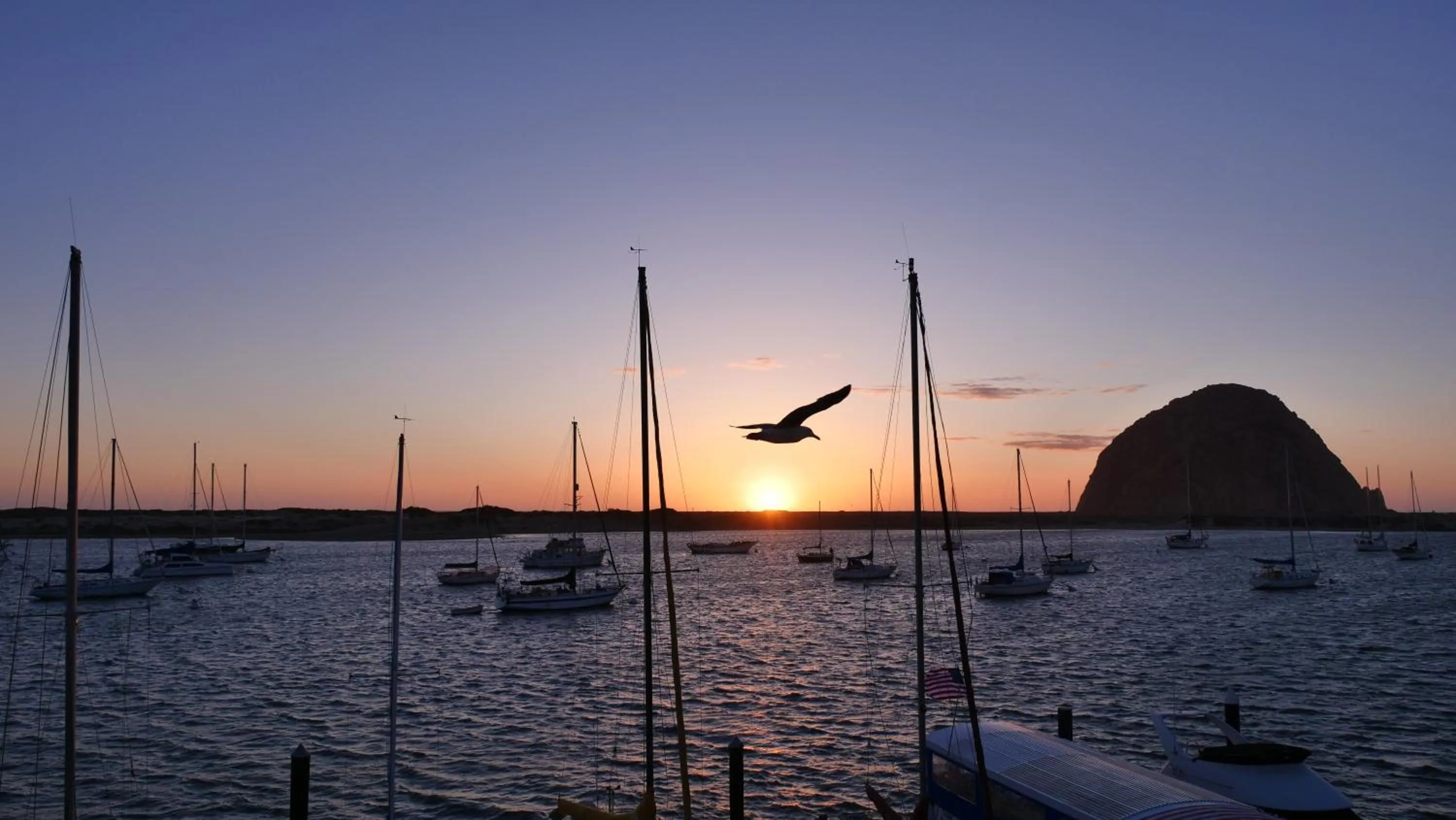 Balcony/Terrace in Gray's Inn & Gallery
