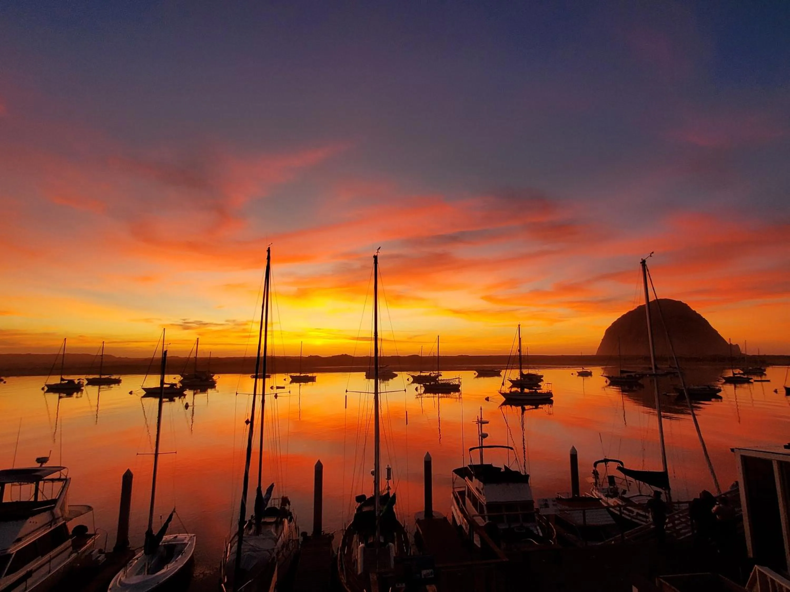 Natural landscape in Gray's Inn & Gallery