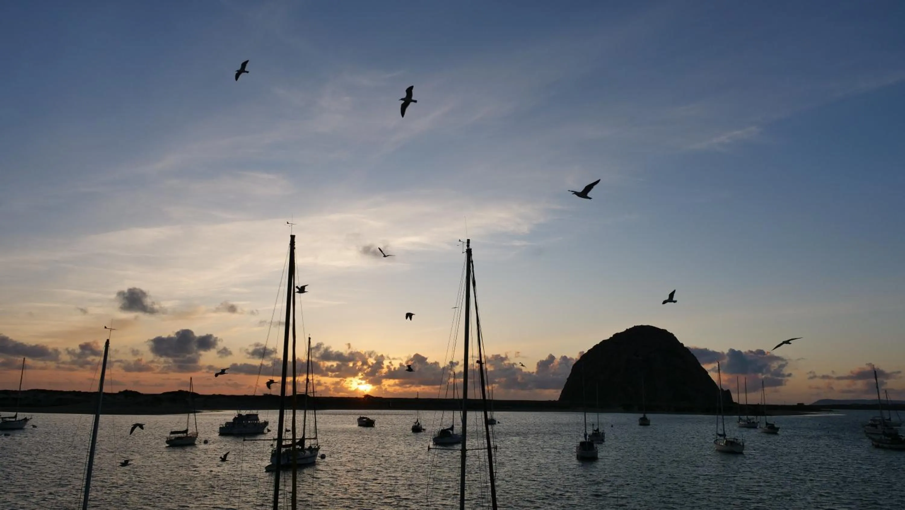 Sea view in Gray's Inn & Gallery