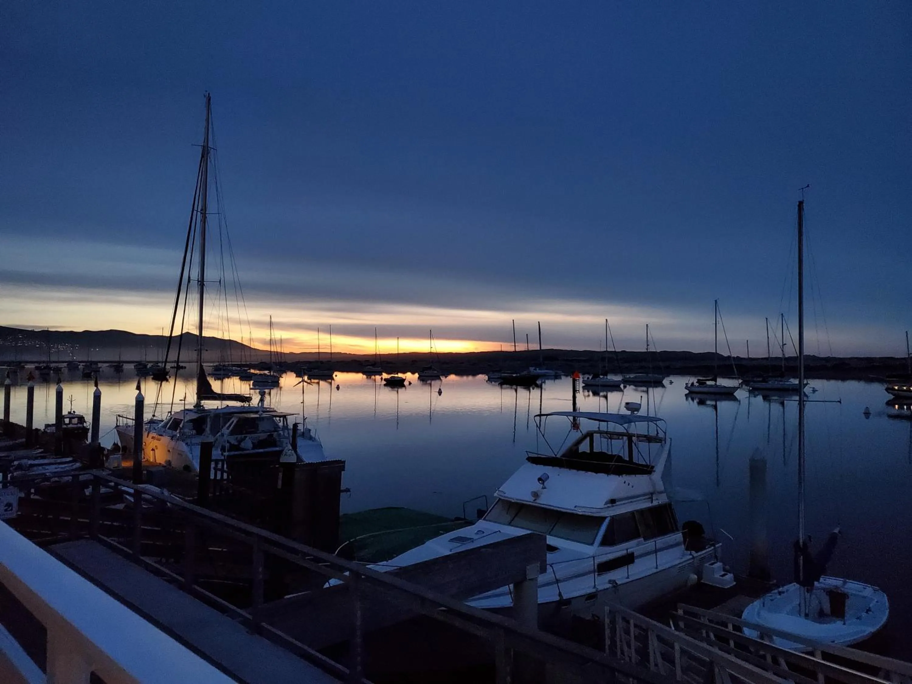 Natural landscape in Gray's Inn & Gallery