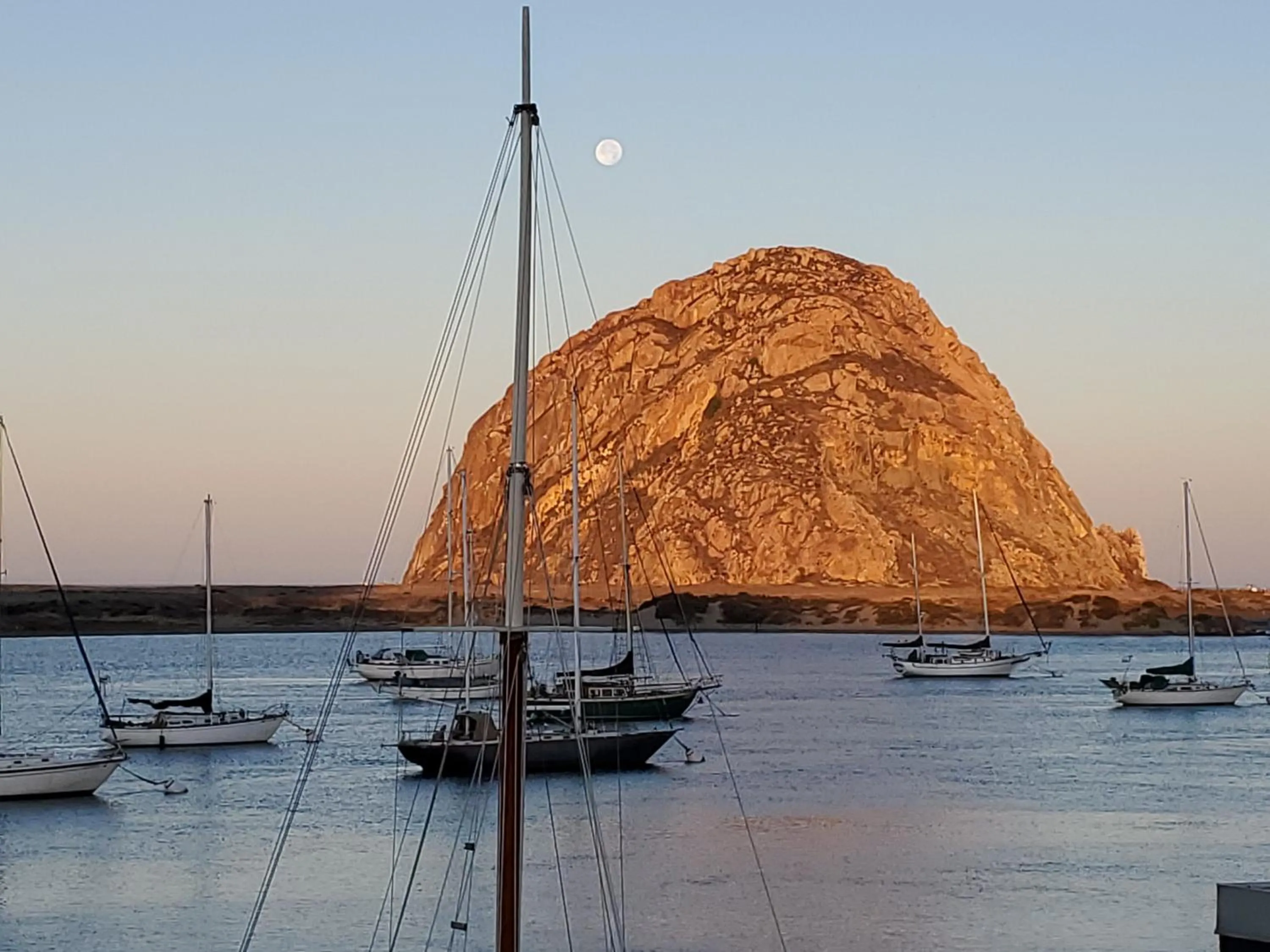 Sea view in Gray's Inn & Gallery