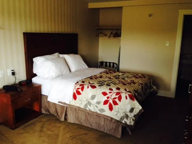Bed in Motel Beausejour