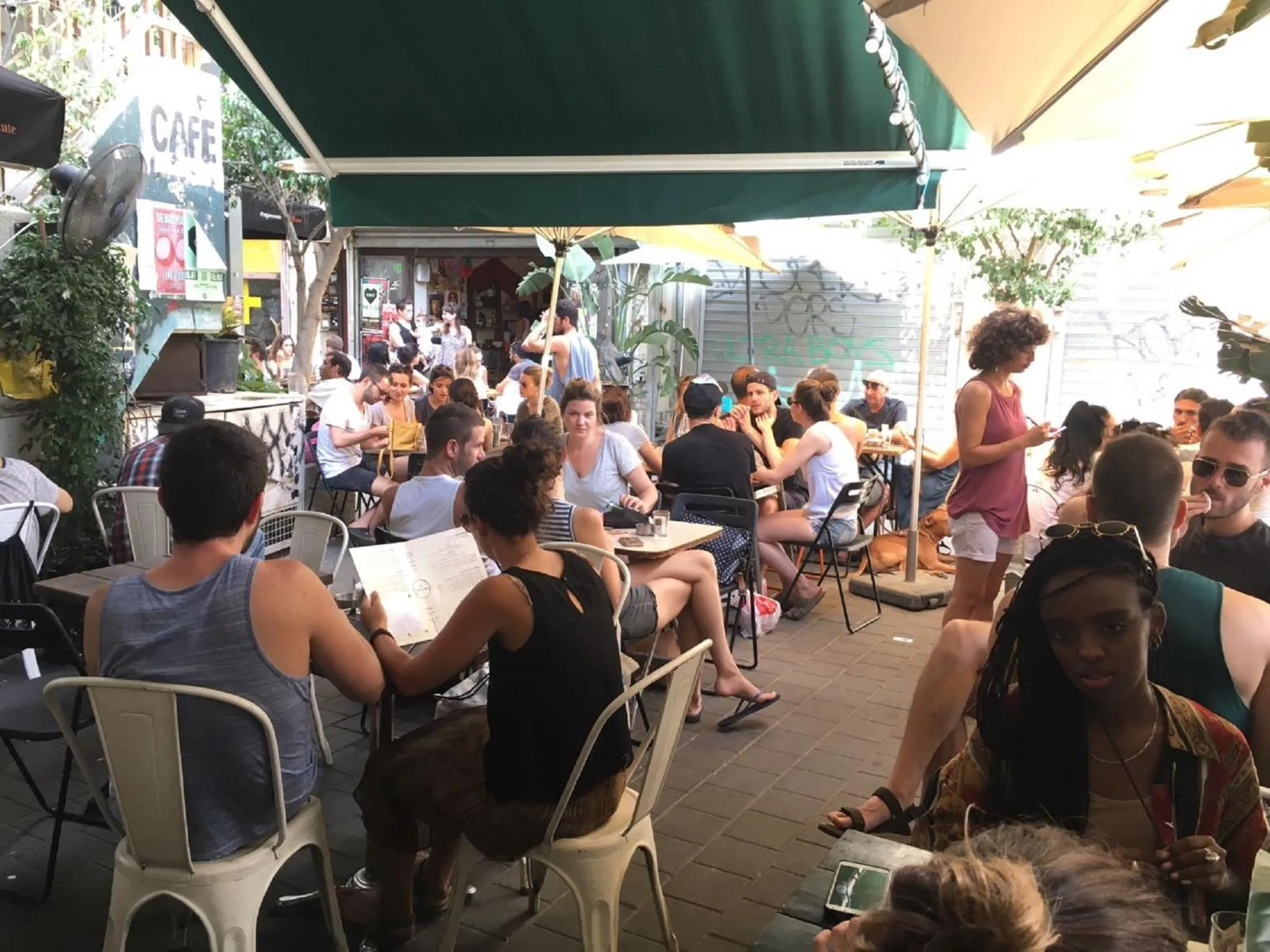 Restaurant/places to eat in Dave Levinsky, a member of Brown Hotels