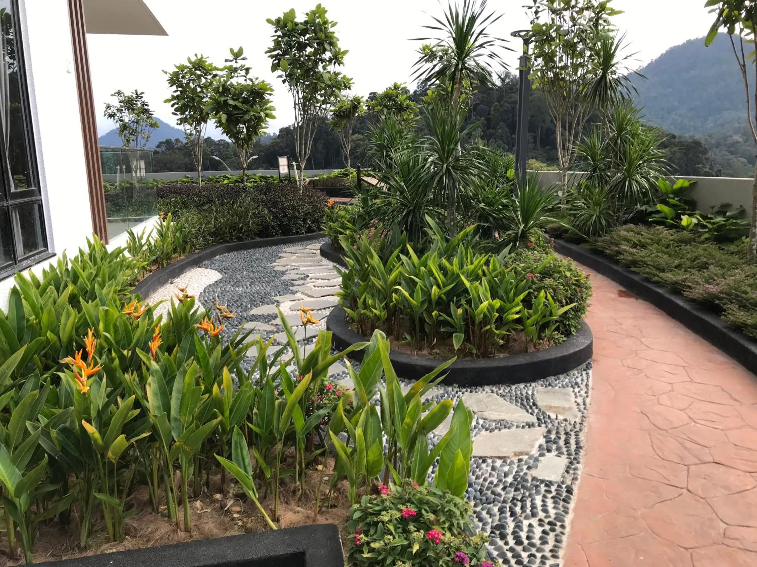 Friends & Families @ Genting Midhills(Free WiFi)