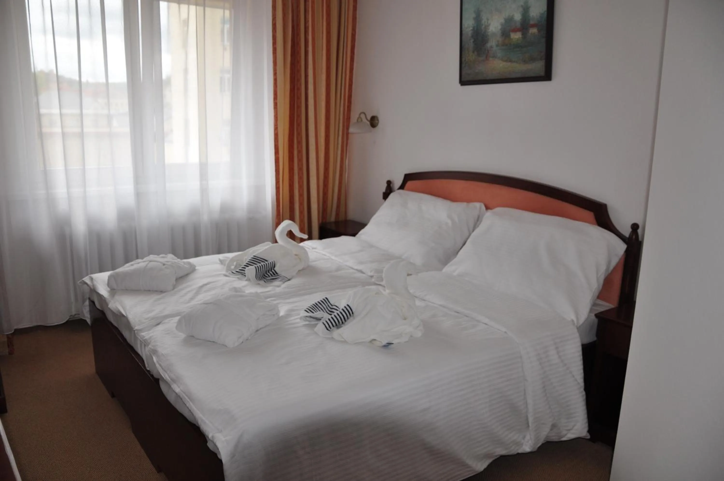 Double Room - single occupancy in Hotel Haná