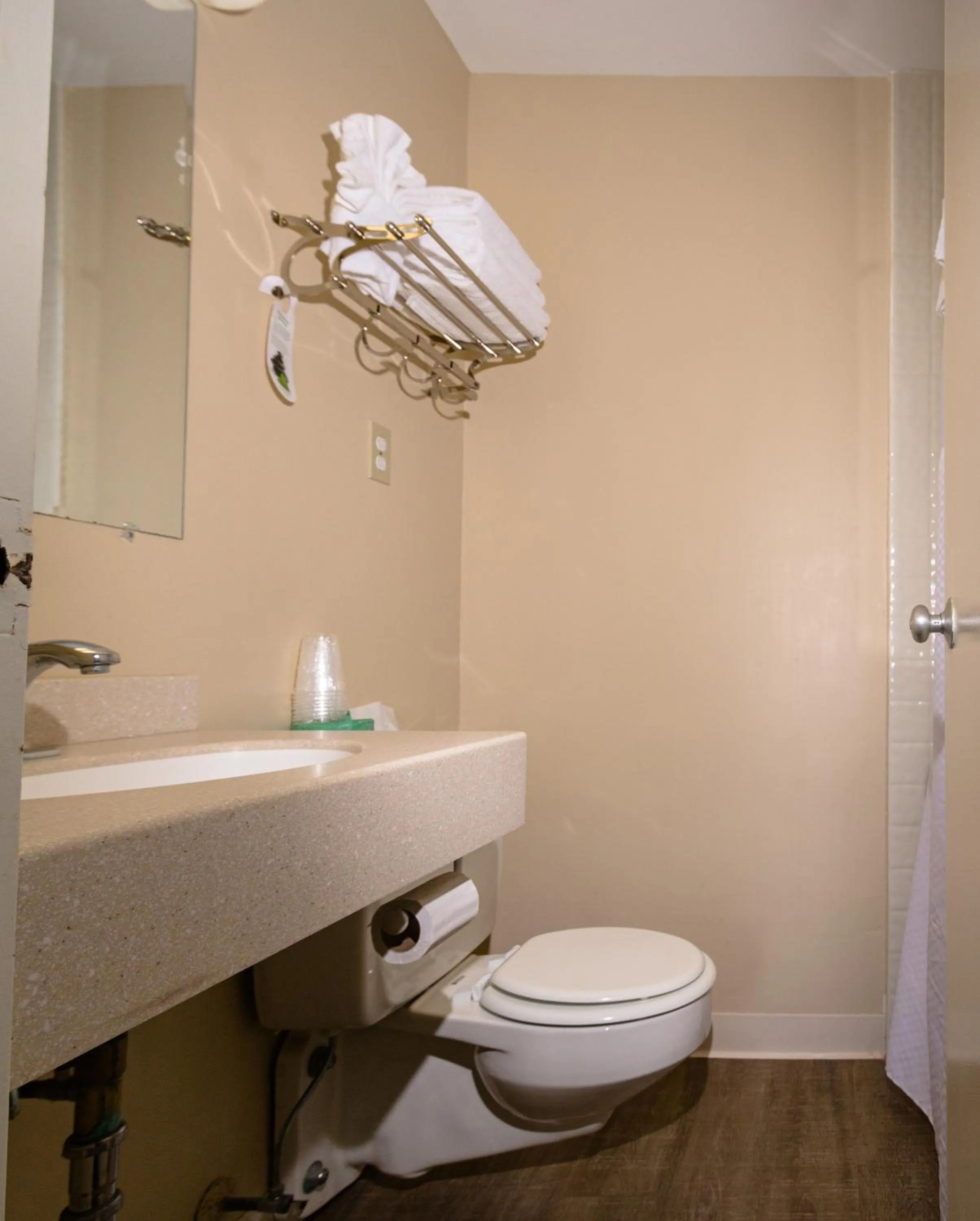 Bathroom in Charlroy Motel