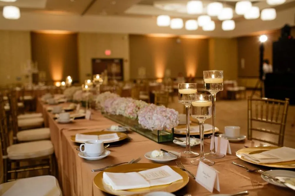 wedding in I Hotel and Illinois Conference Center - Champaign