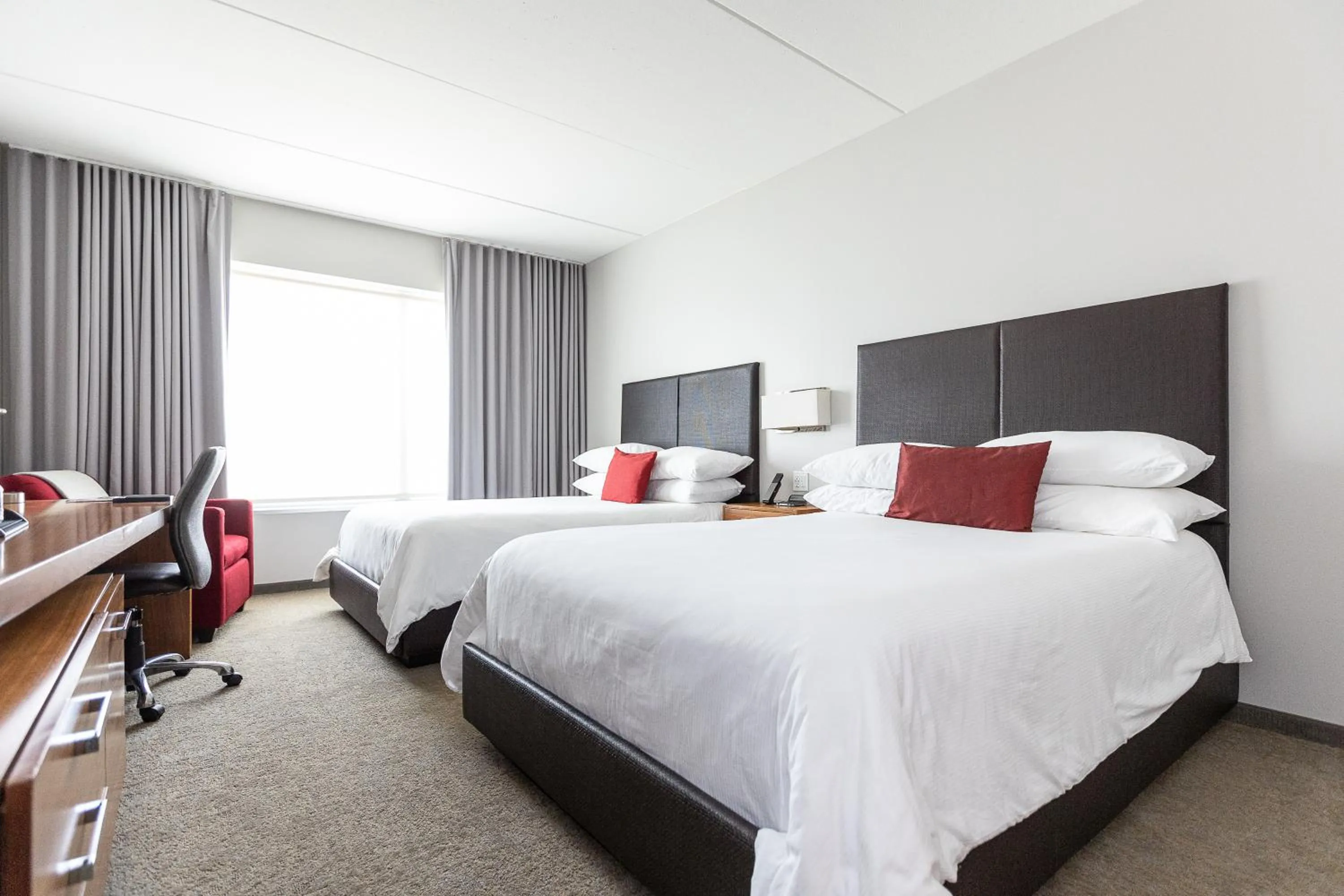 Bedroom, Bed in I Hotel and Illinois Conference Center - Champaign