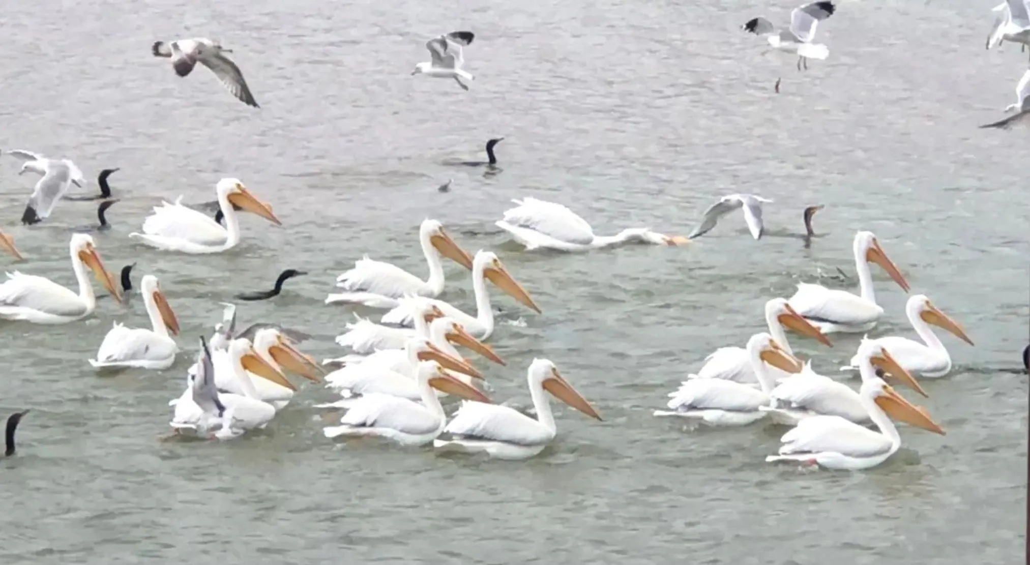 Lake view in Oasis Lake Buchanan