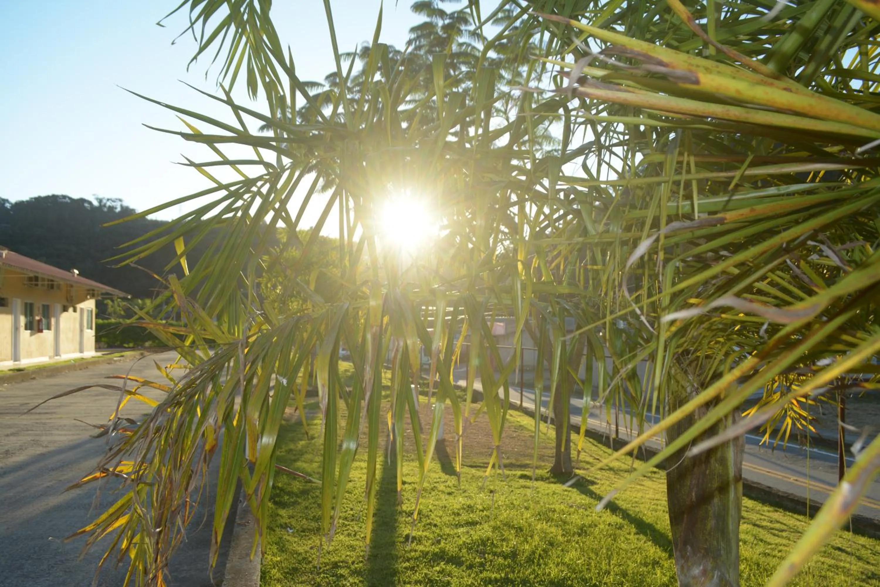 Garden in Pousada Santo Antônio