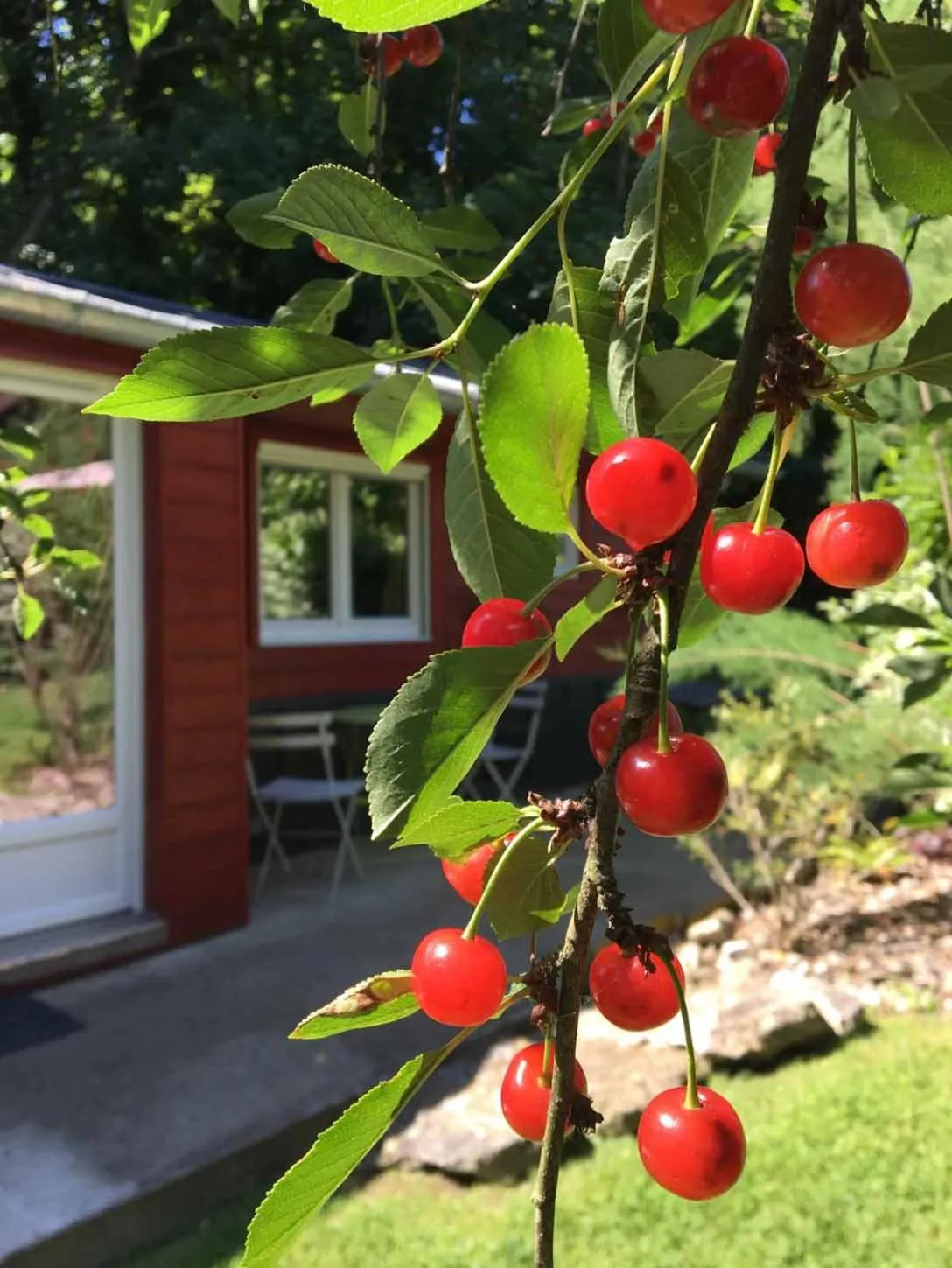 Patio in Le Cabanon de Chessy