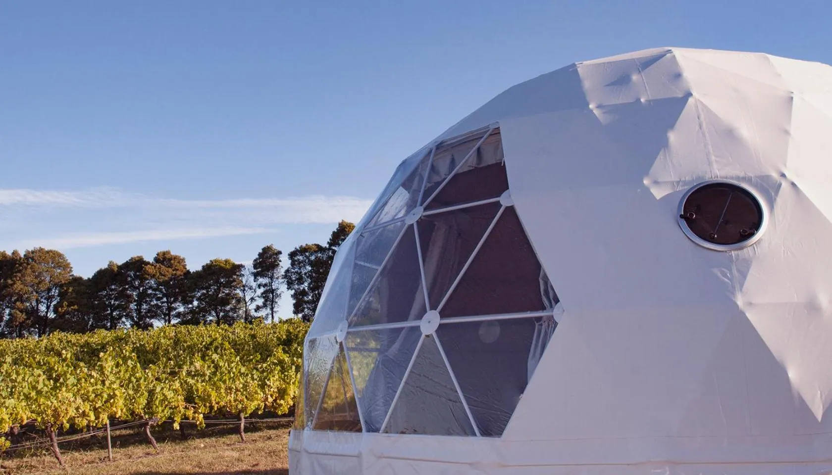 Property building in Domescapes in the Vines