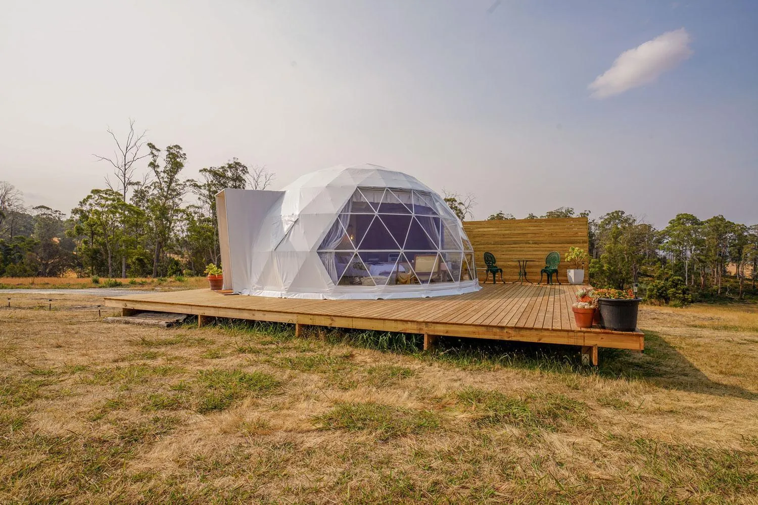 Day in Domescapes in the Vines