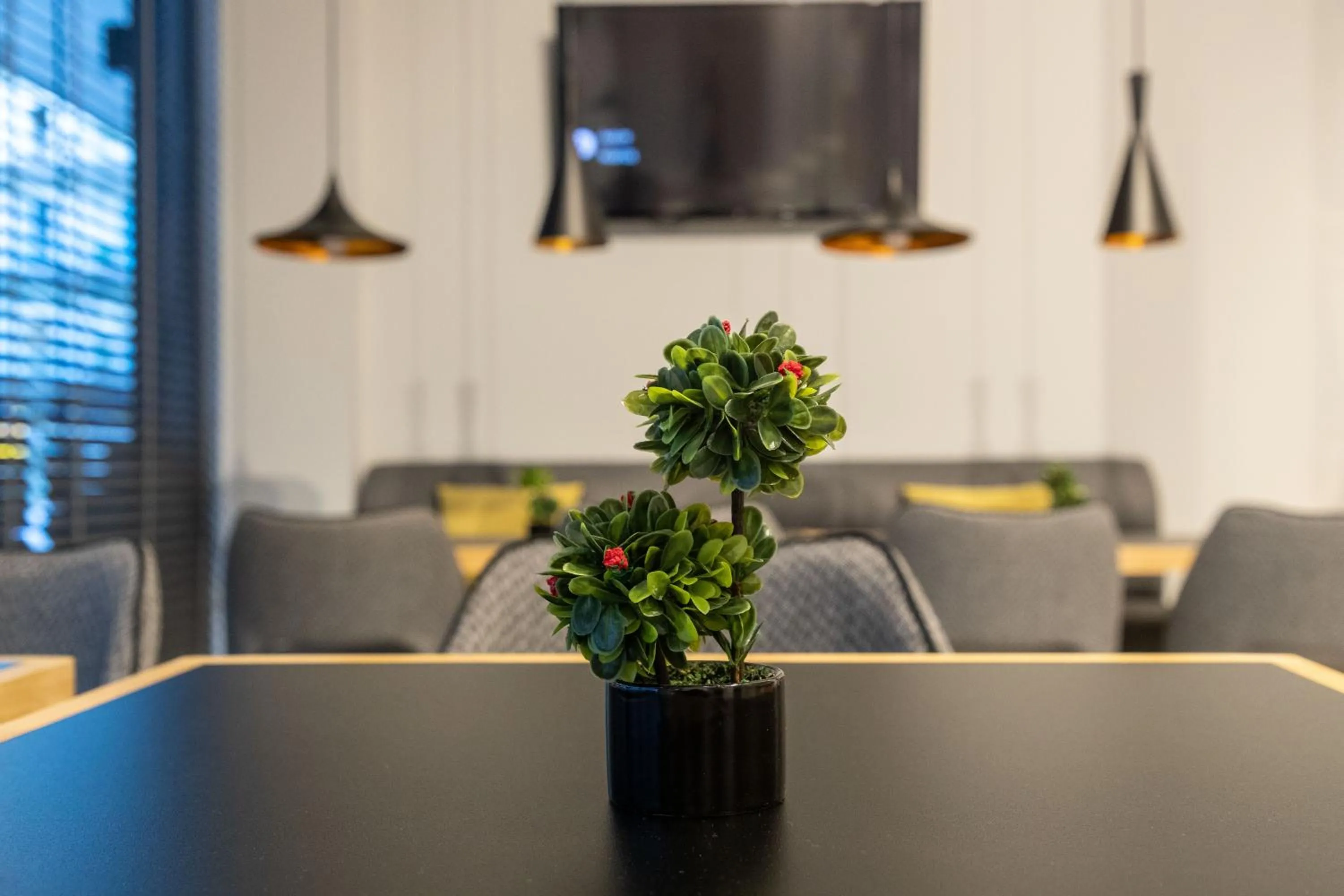 TV and multimedia in Grand Port Suites