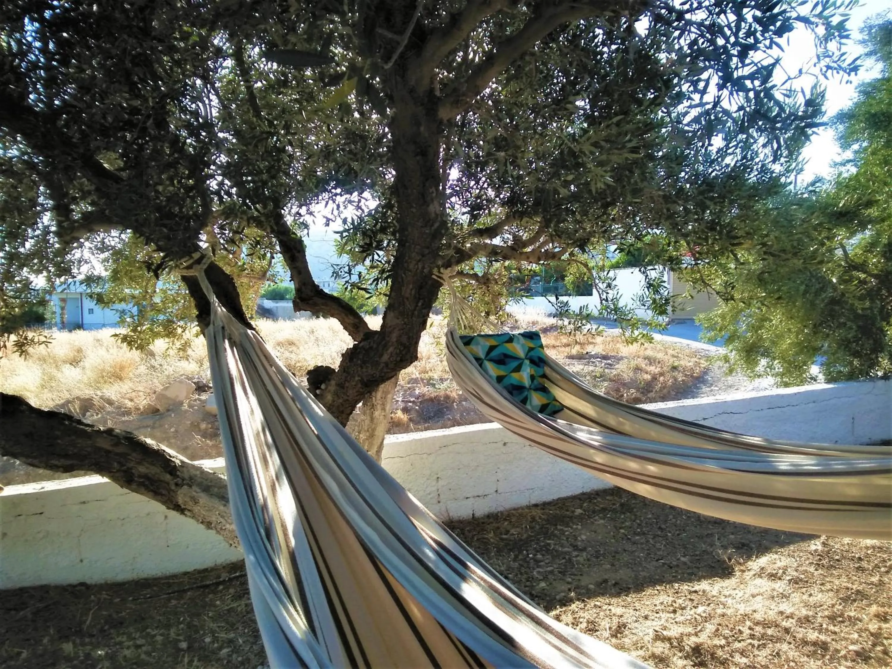 Property building in New Aurora Apts Studios