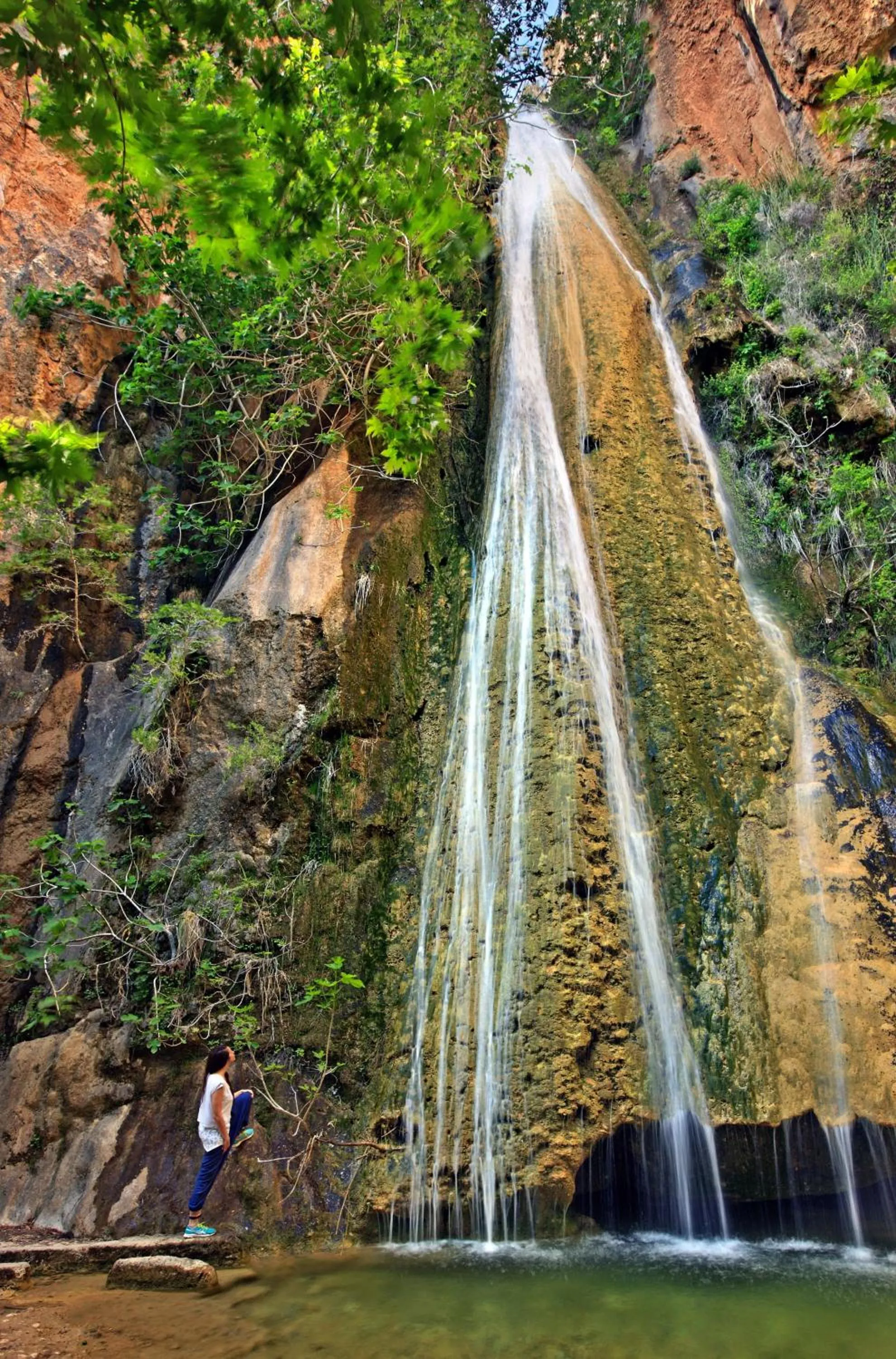 Natural landscape in New Aurora Apts Studios