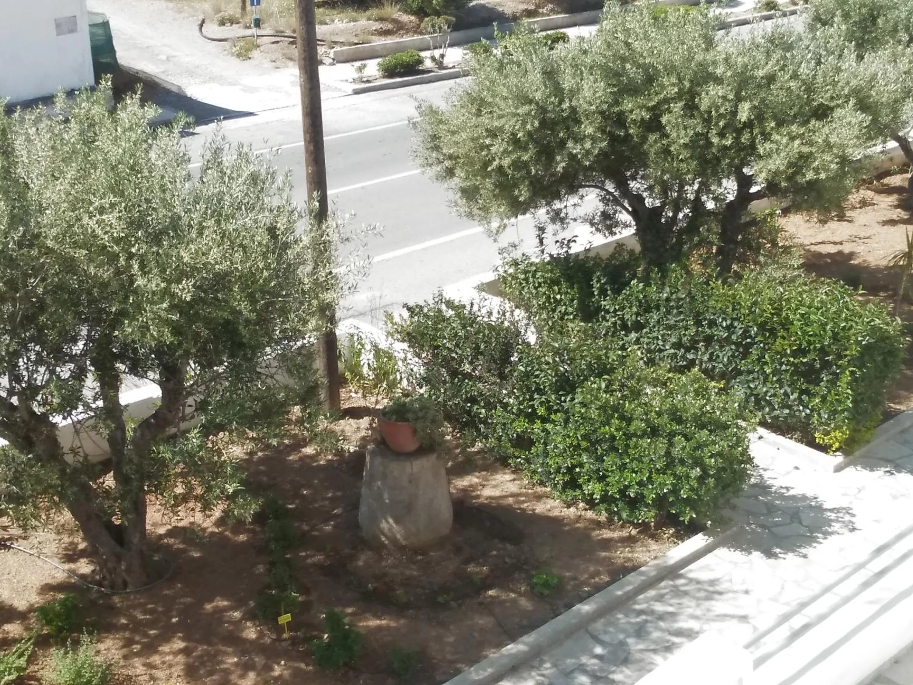 Garden view in New Aurora Apts Studios