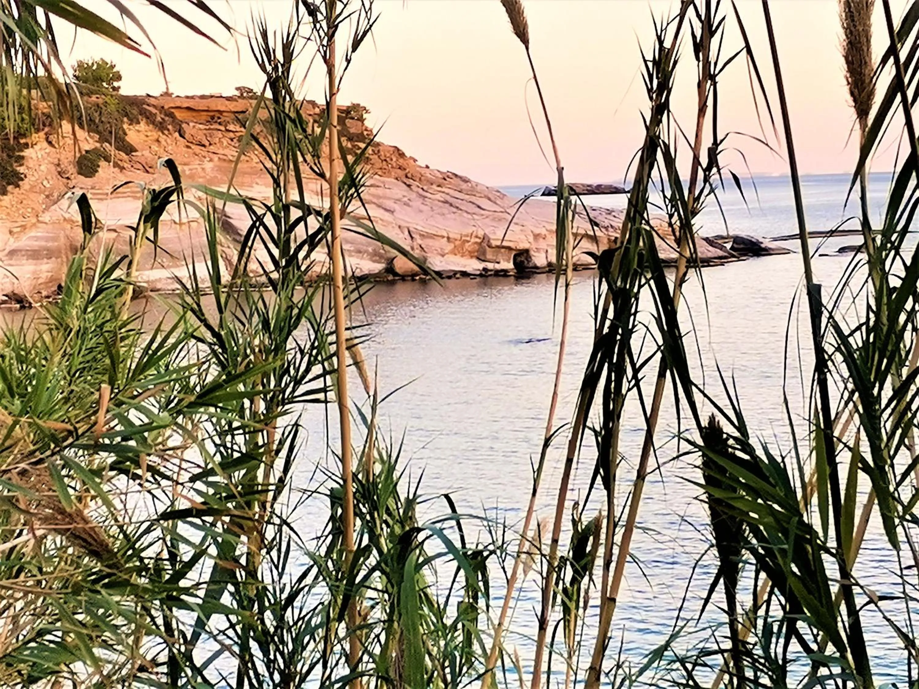Coffee/tea facilities in New Aurora Apts Studios