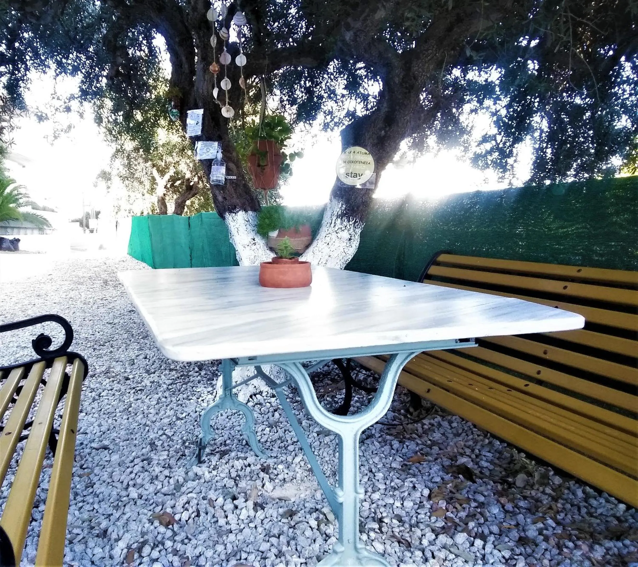 Property building in New Aurora Apts Studios