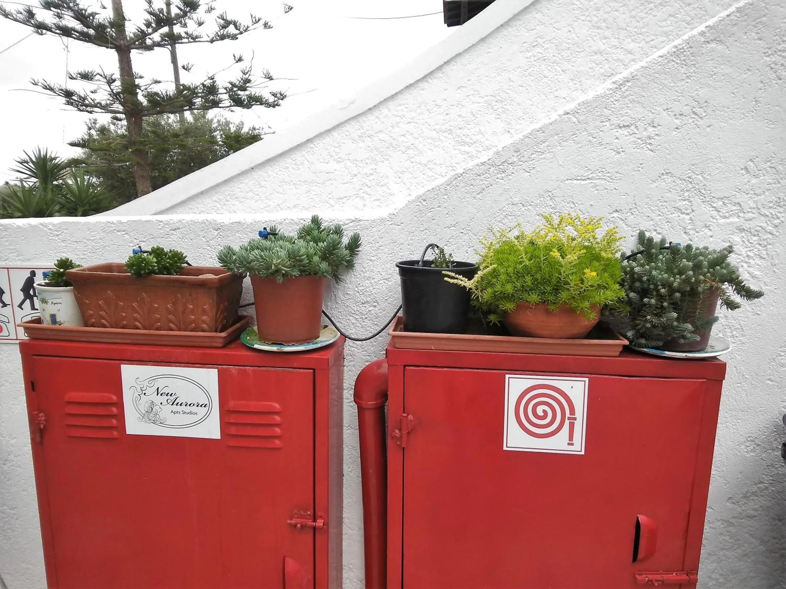 Property building in New Aurora Apts Studios