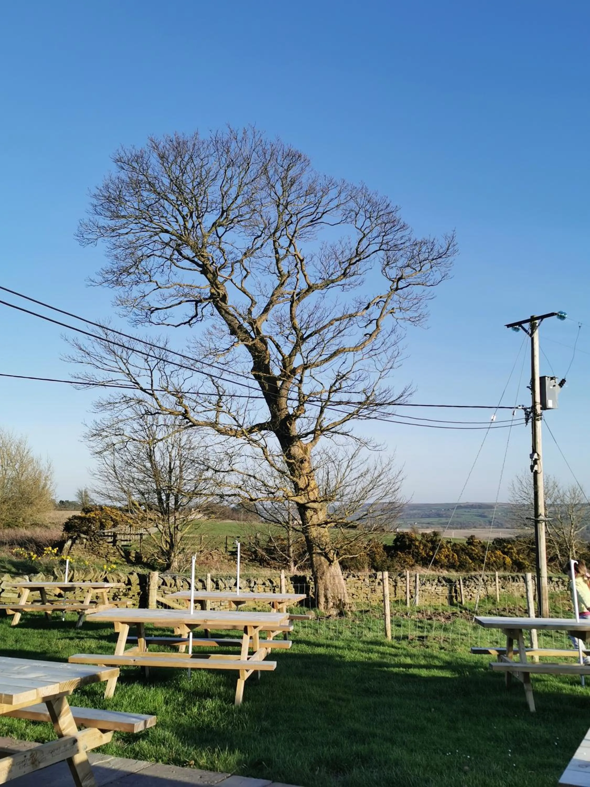Garden in The Manor House Inn