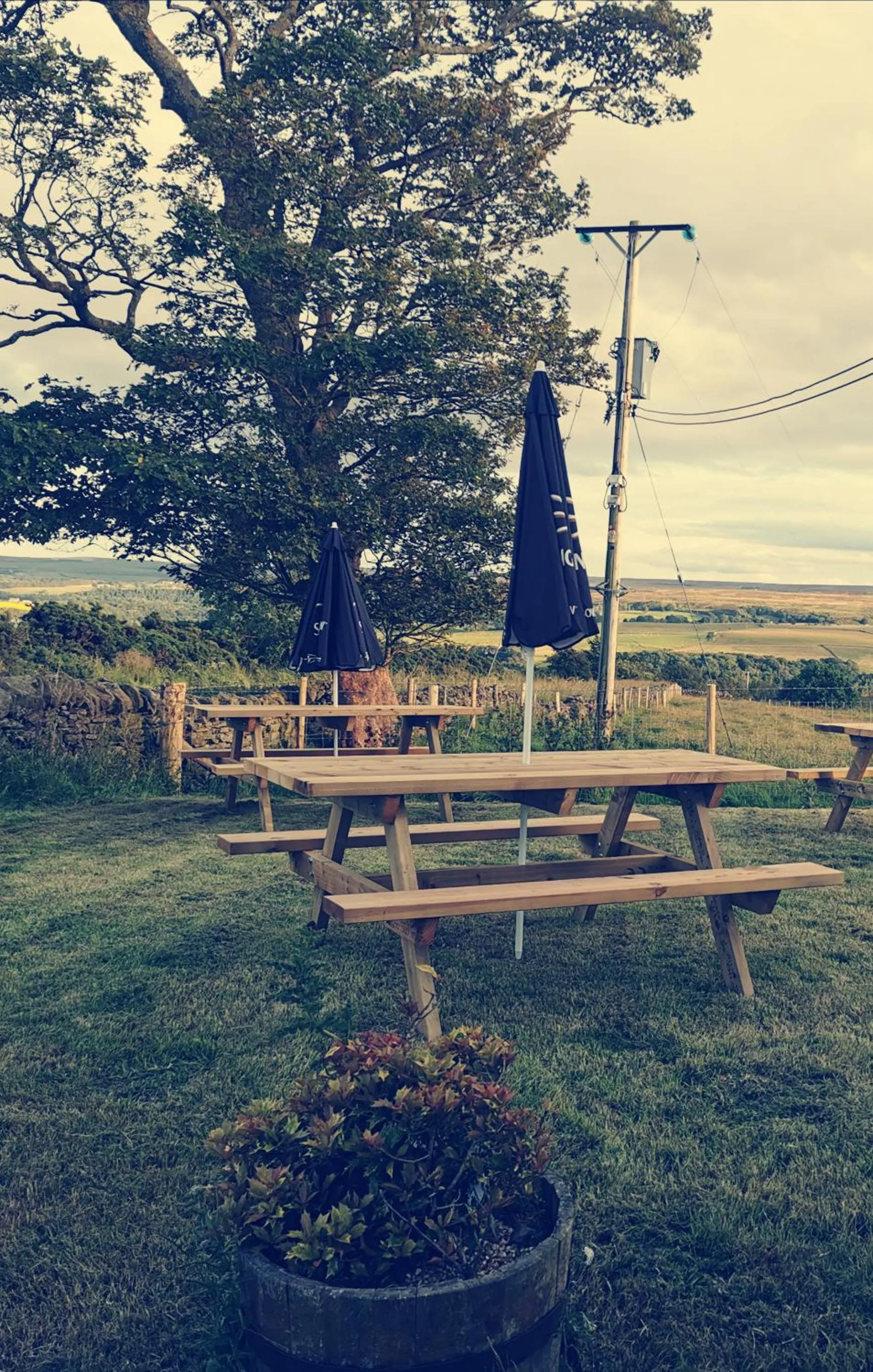 Garden in The Manor House Inn