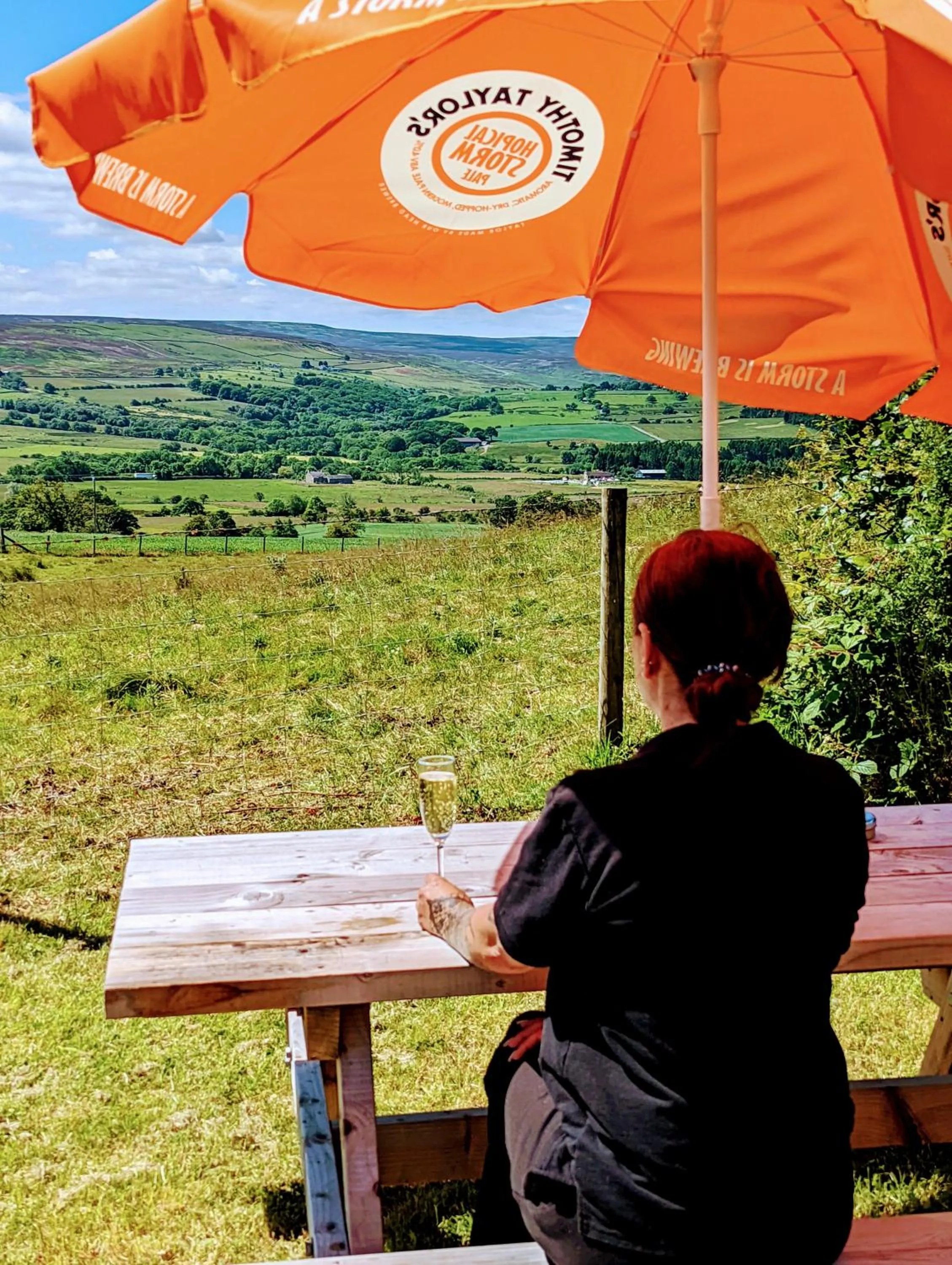 Day in The Manor House Inn