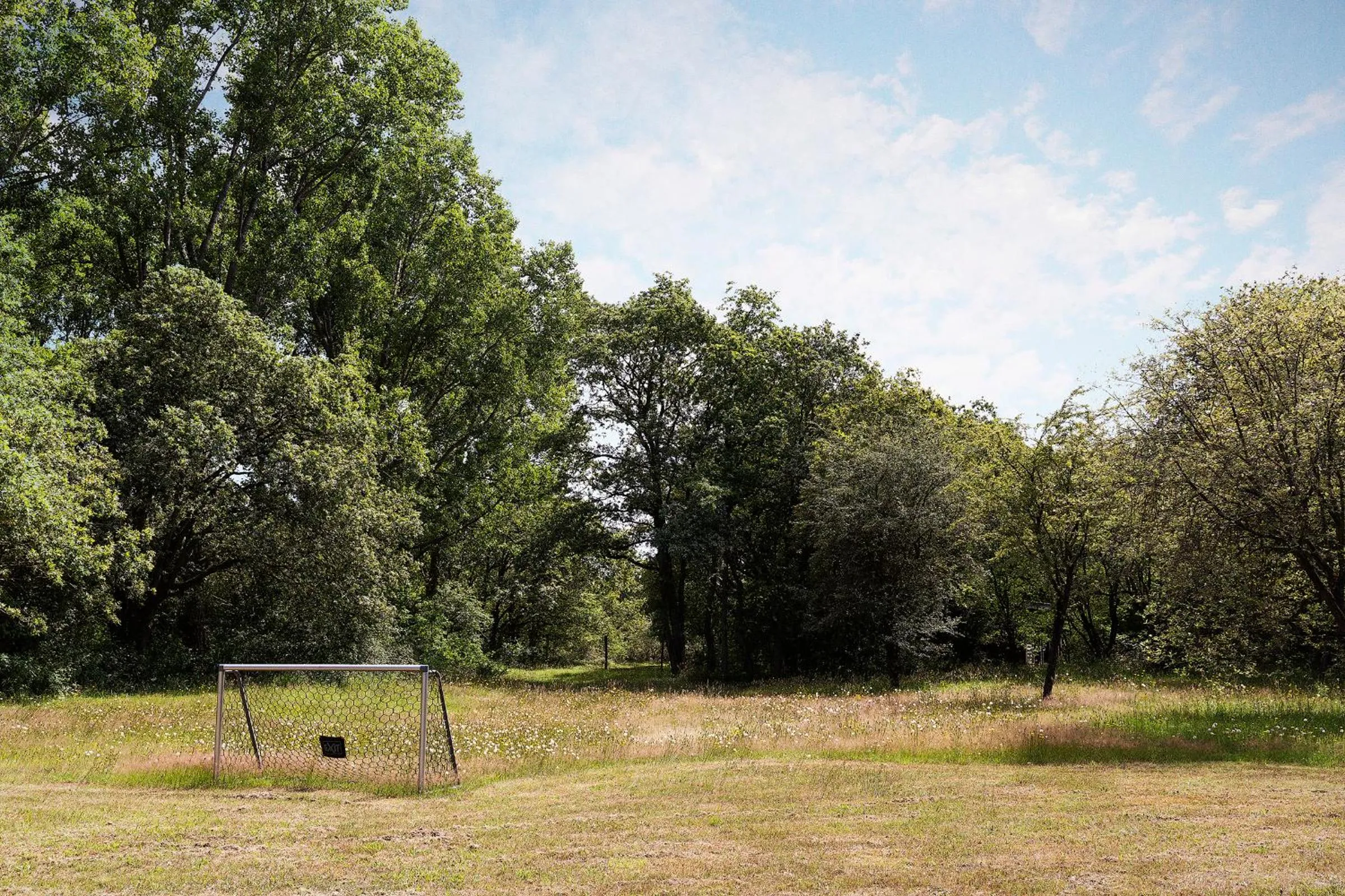 Natural landscape in Bosvilla Kennemerduinen