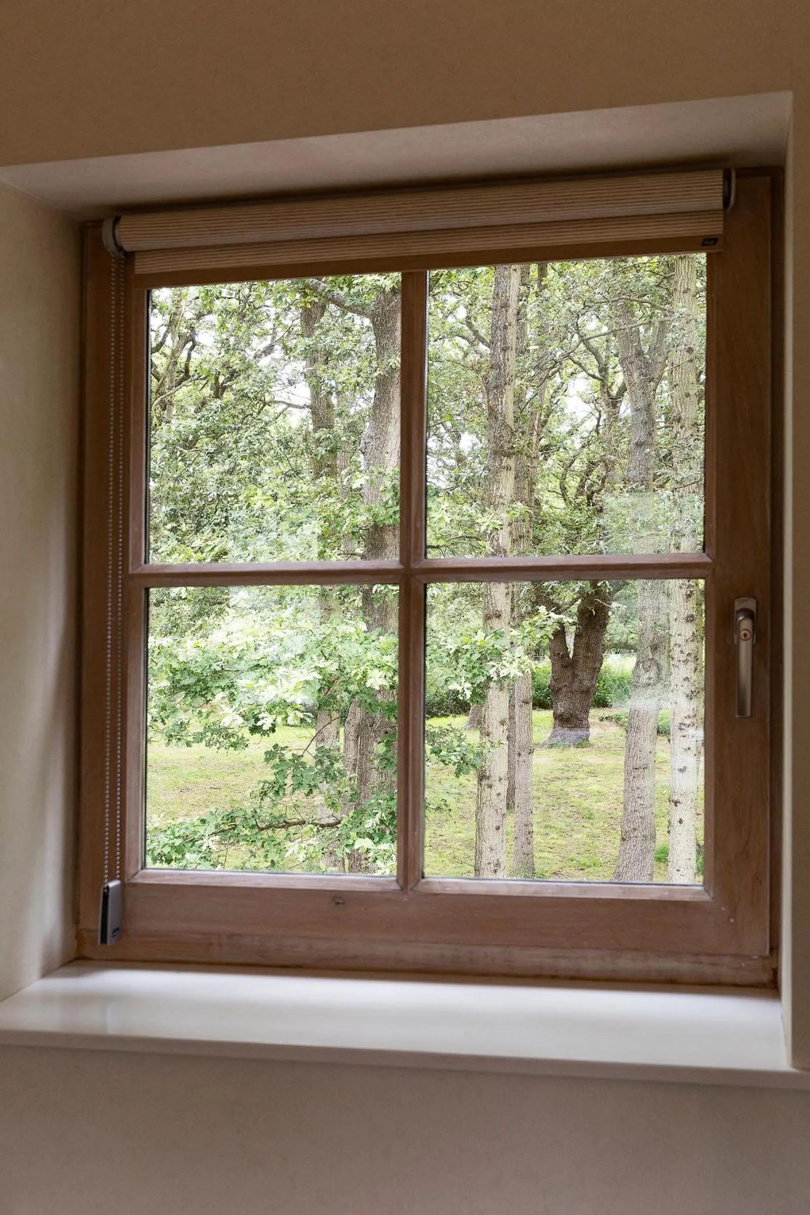 Garden view in Bosvilla Kennemerduinen