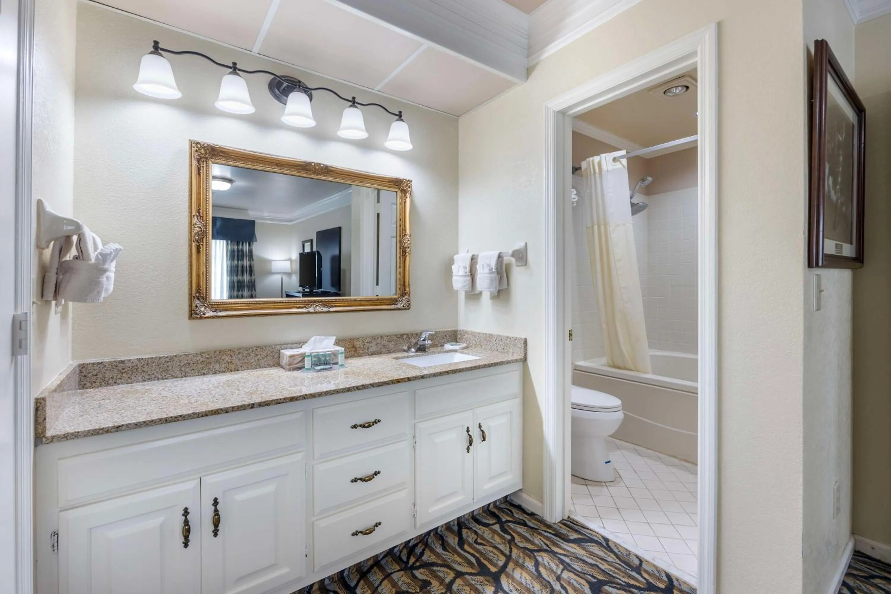 Bathroom in Best Western Spring Hill Inn & Suites