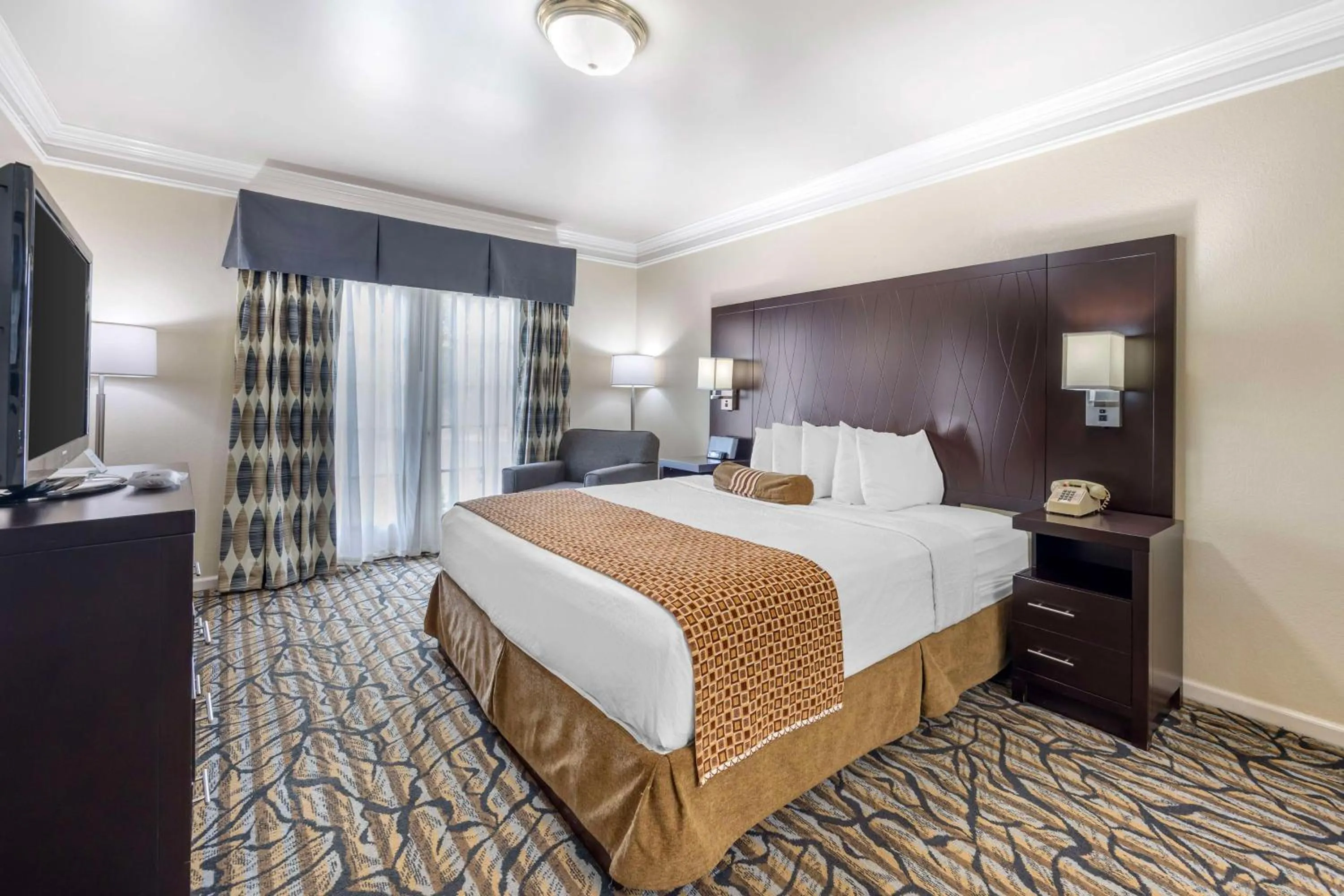 Photo of the whole room in Best Western Spring Hill Inn & Suites